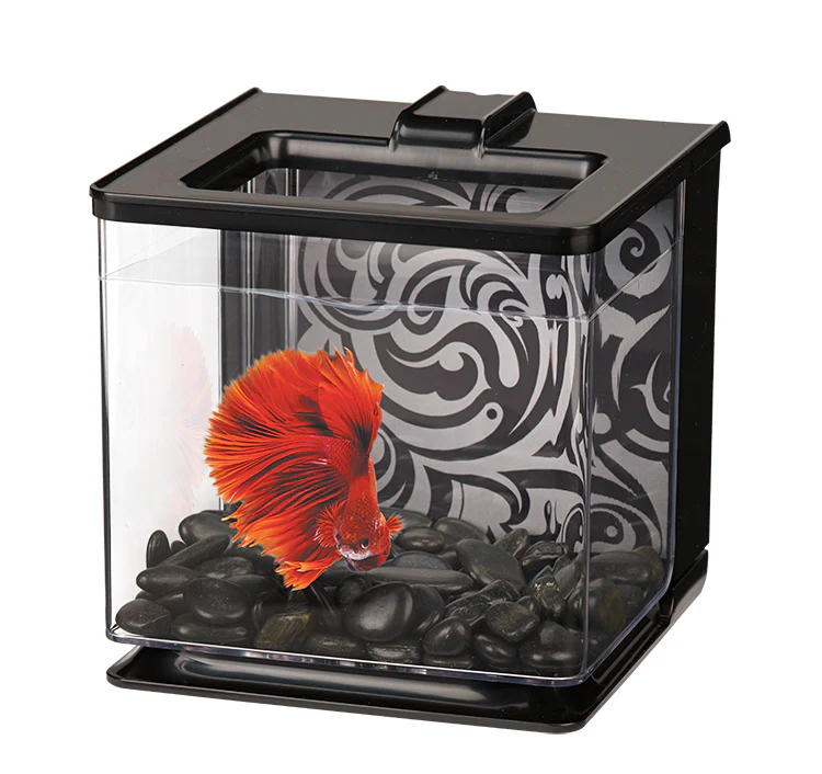 Marina - EZ Care Betta Kit (Black) - Image 2