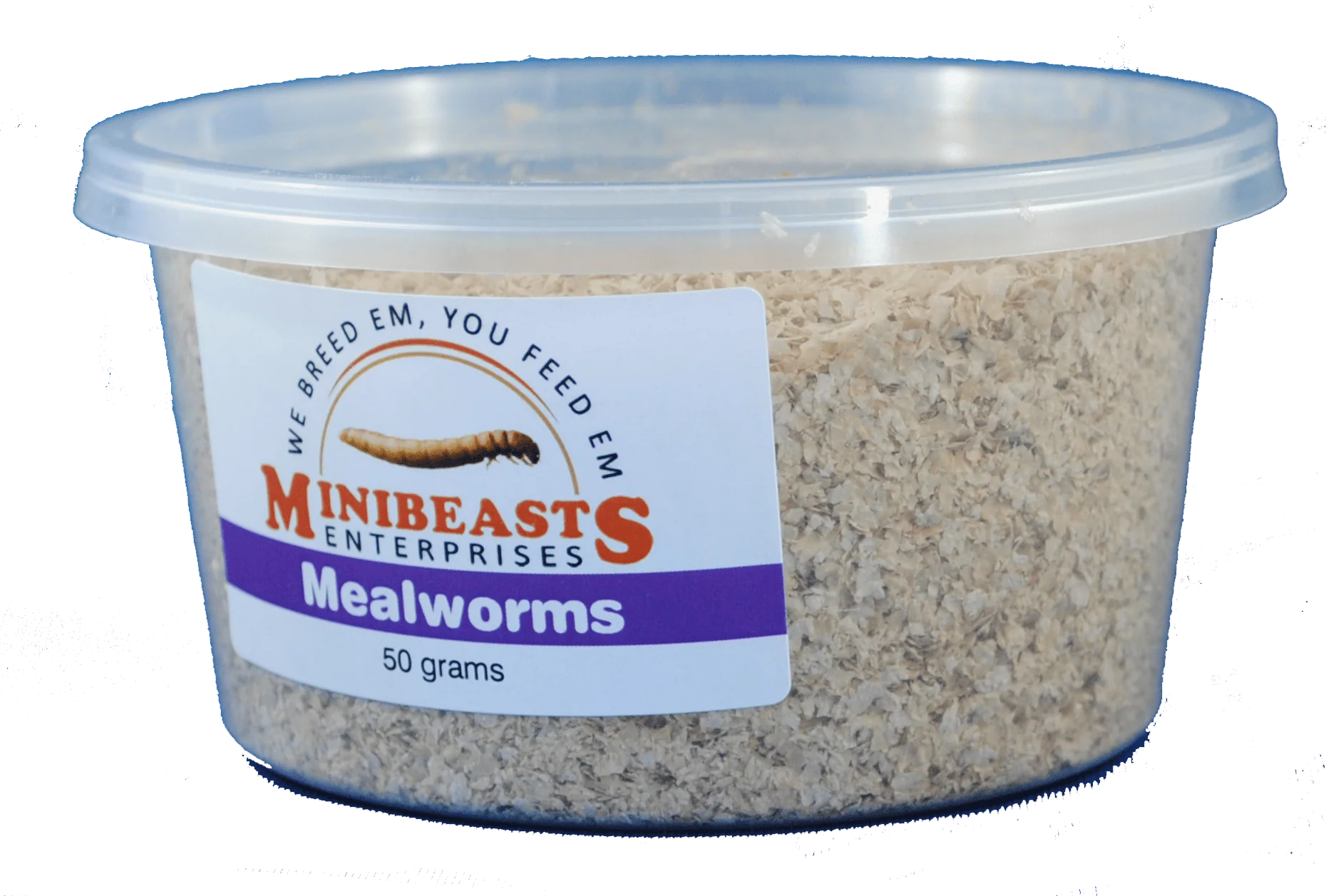 Minibeasts - Mealworms 50gm