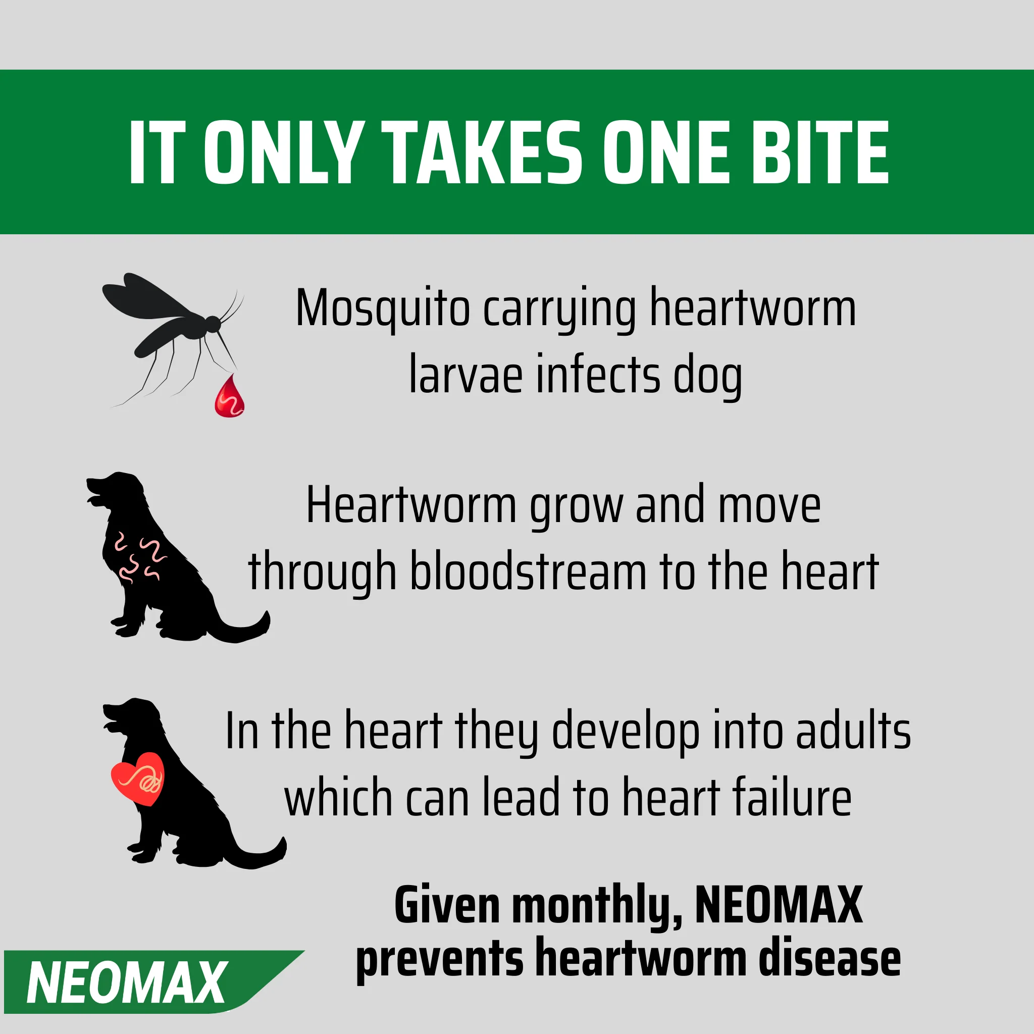 NEOMAX Allwormer for Puppies & Small Dogs (0-5kg) 2 Pack - Image 7