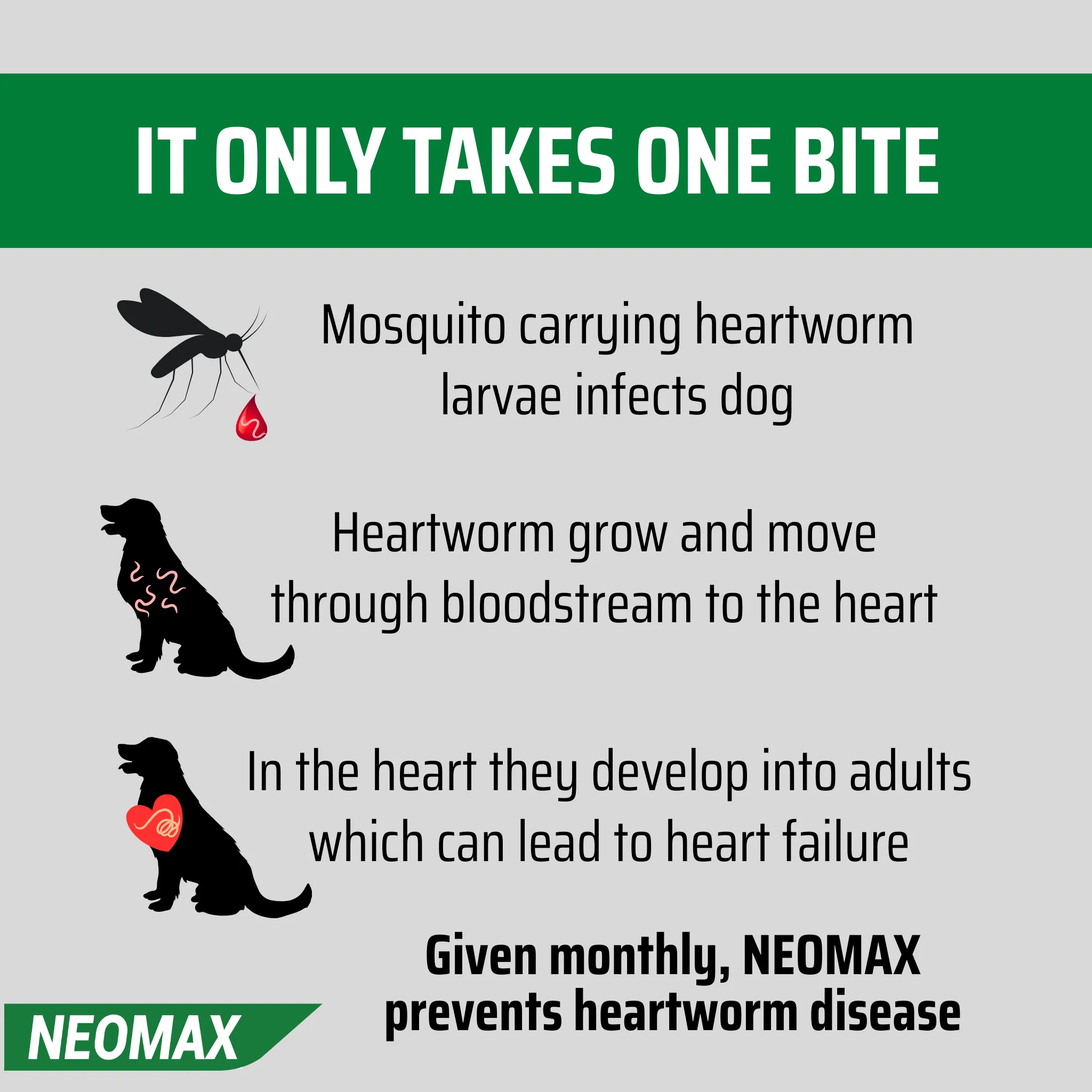 NEOMAX Allwormer for Dogs (Over 5kg) 2 Pack - Image 7