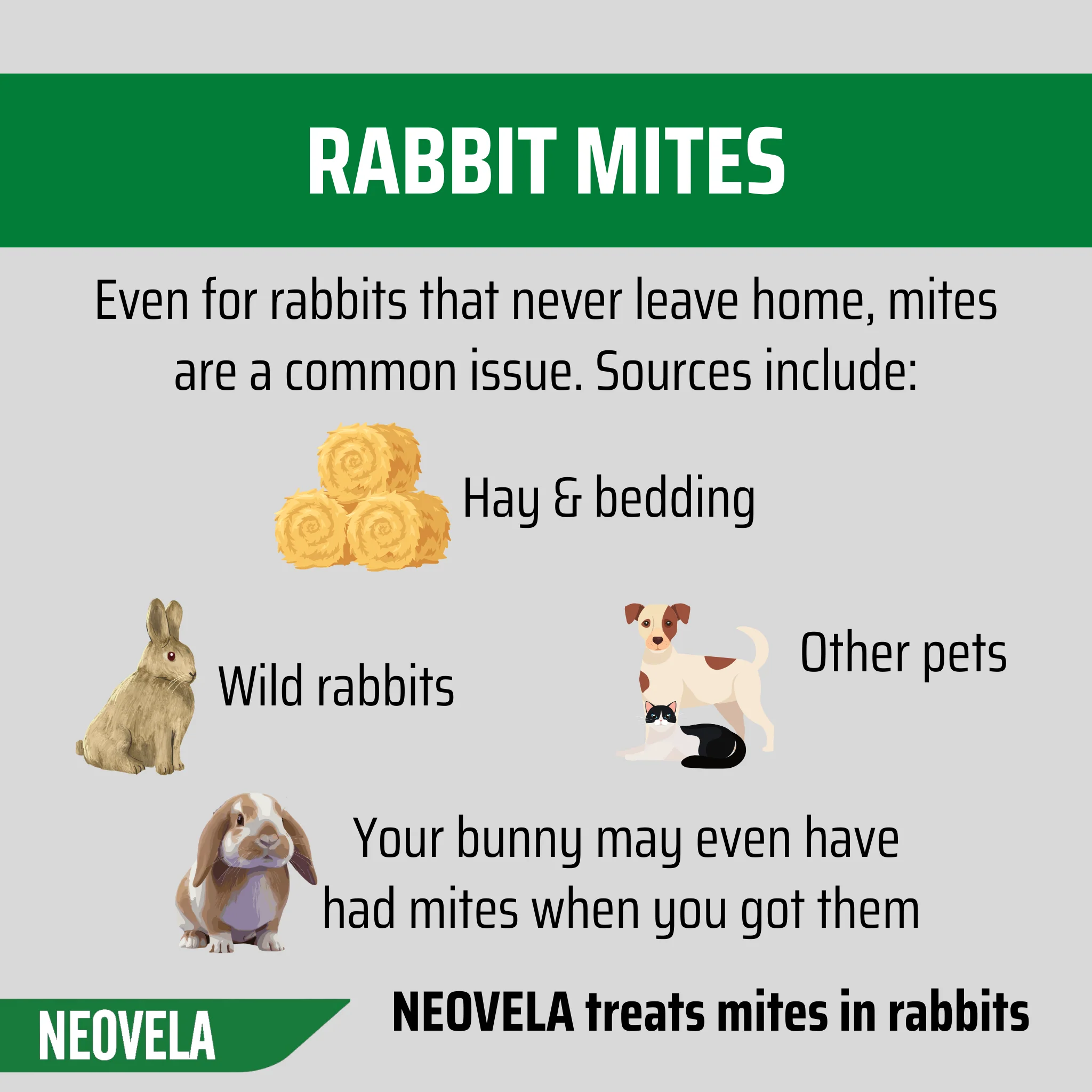 NEOVELA for Puppies, Kittens & Rabbits (Up to 2.5kg) 4 Pack - Image 10