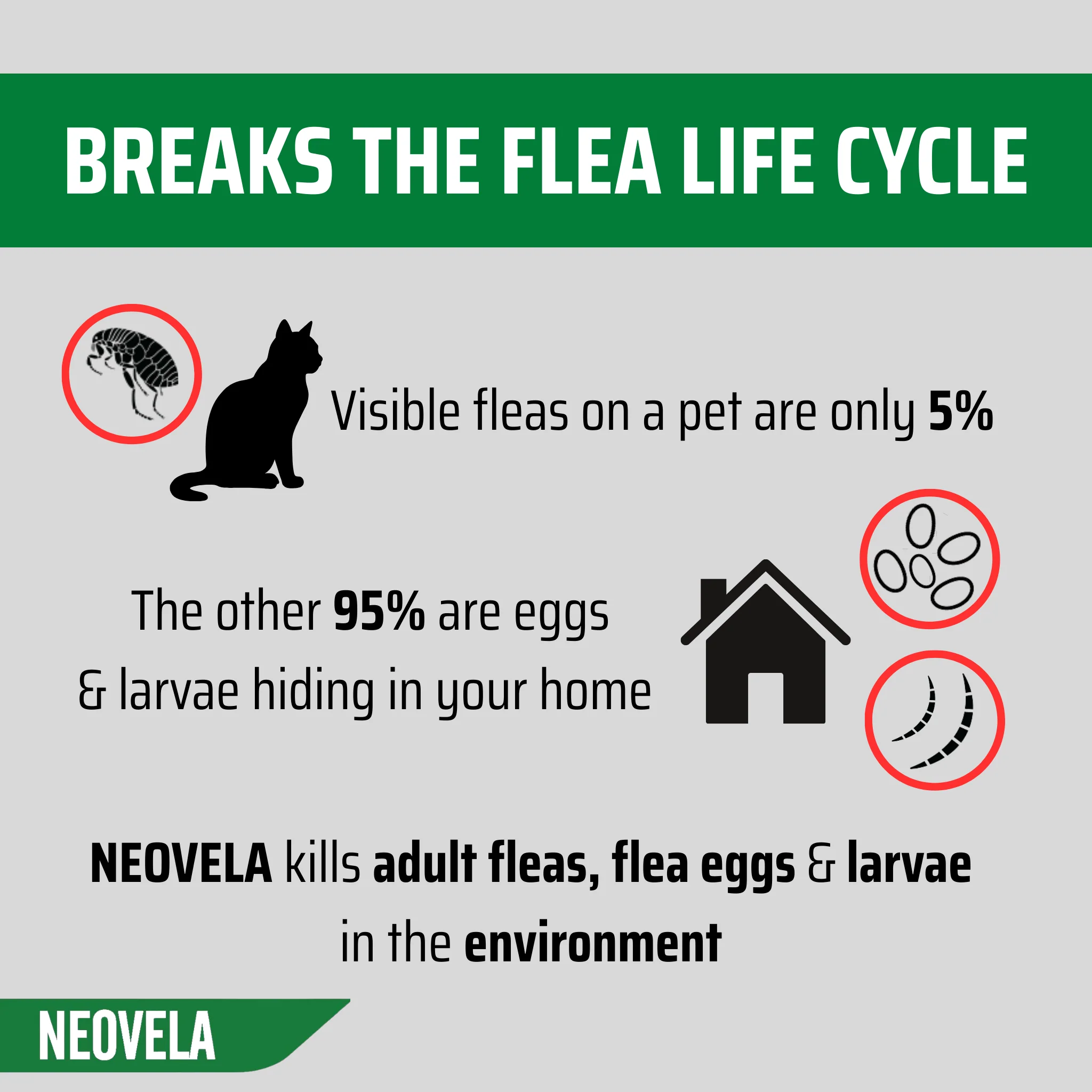 NEOVELA for Puppies, Kittens & Rabbits (Up to 2.5kg) 4 Pack - Image 11