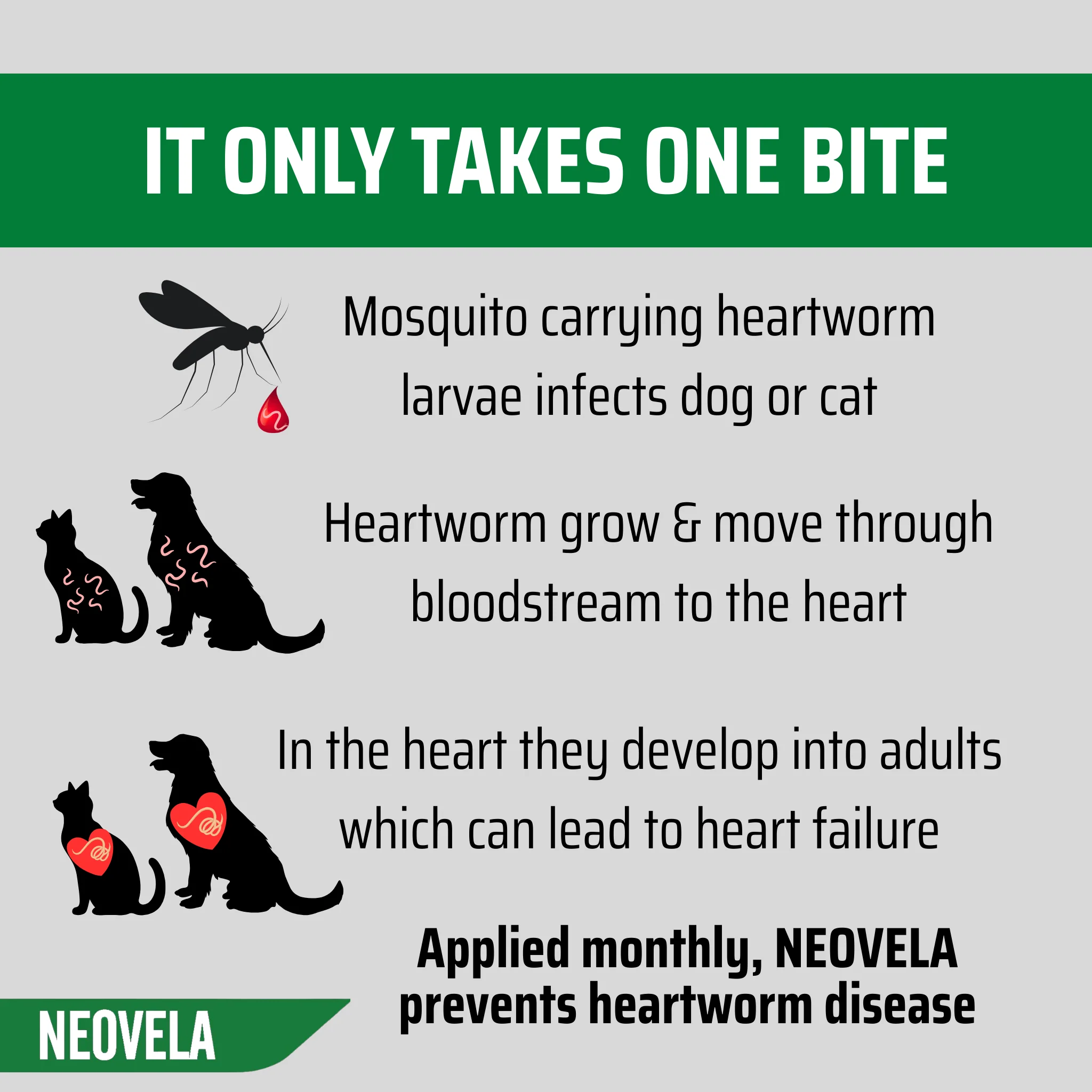 NEOVELA for Puppies, Kittens & Rabbits (Up to 2.5kg) 4 Pack - Image 12
