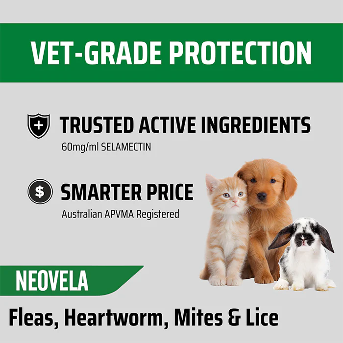 NEOVELA for Puppies, Kittens & Rabbits (Up to 2.5kg) 4 Pack - Image 4