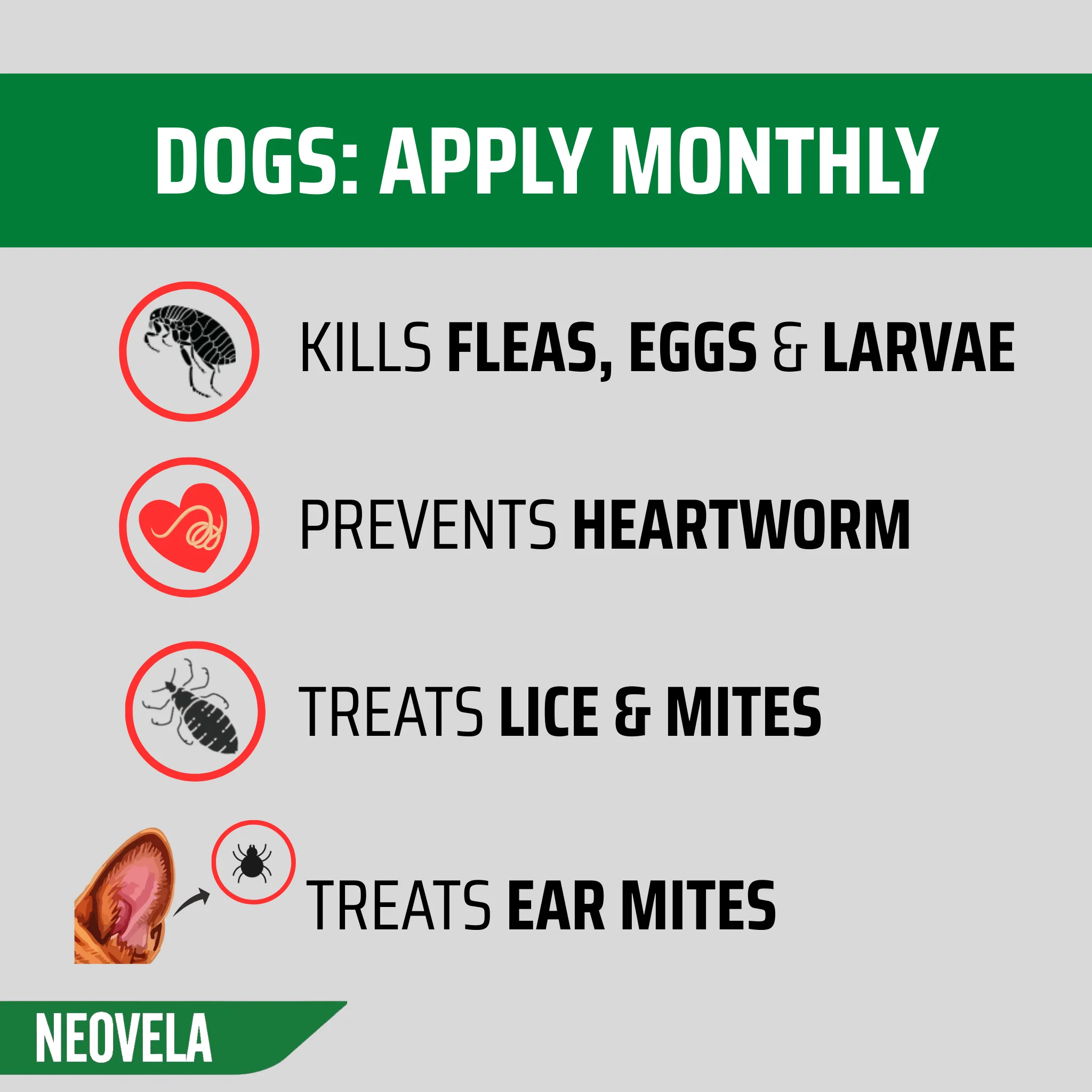NEOVELA for Puppies, Kittens & Rabbits (Up to 2.5kg) 4 Pack - Image 5