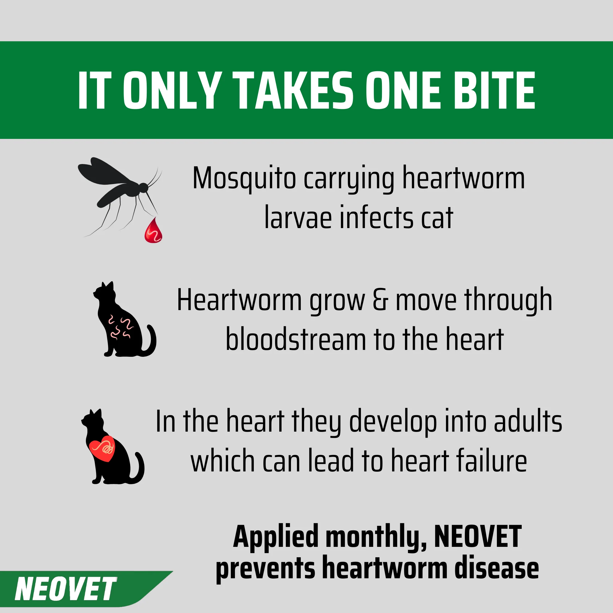 NEOVET - Cats Over 4kg (6pk) - Image 6