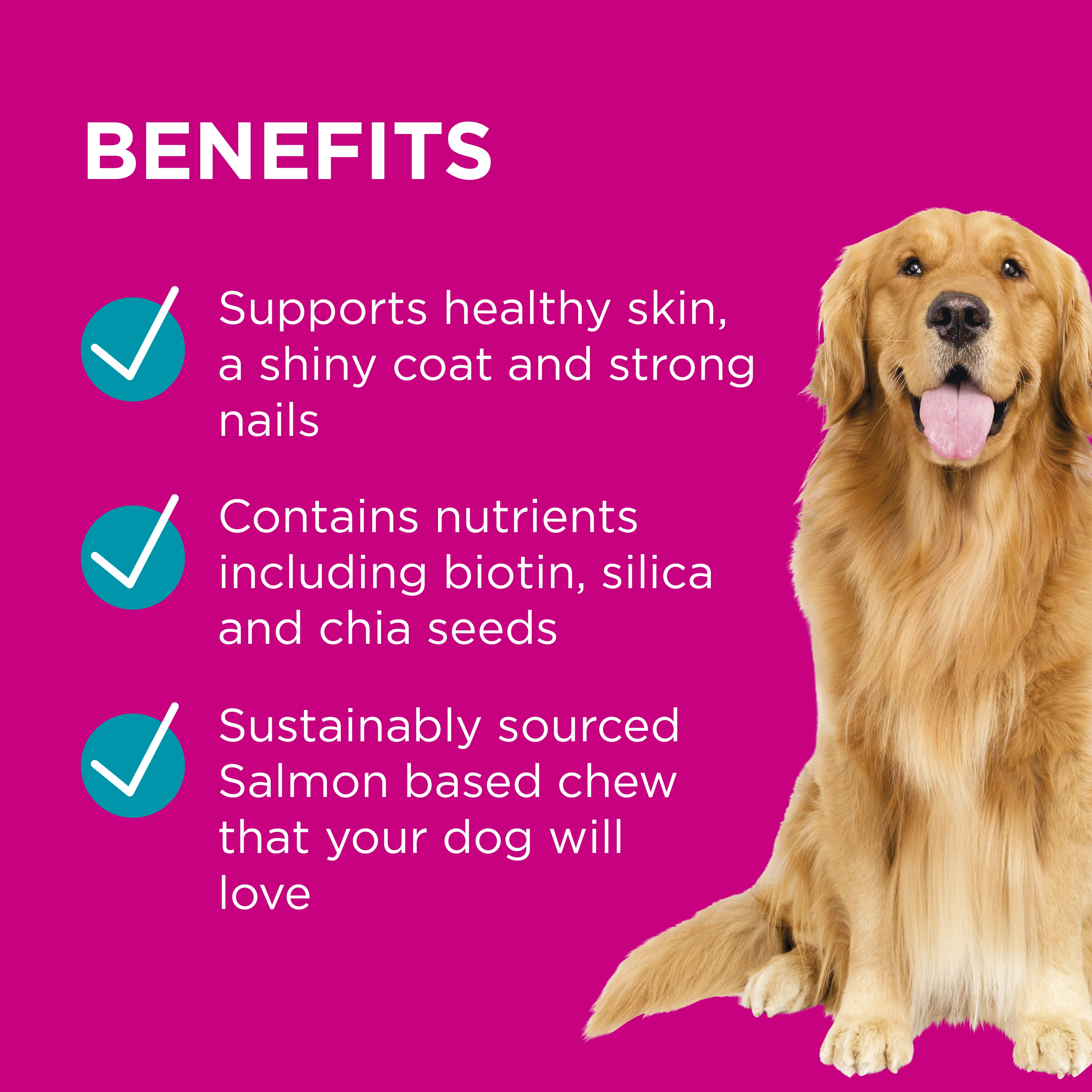 PAW - Coat, Skin and Nails Multivitamins for Dogs (60pk) - Image 4