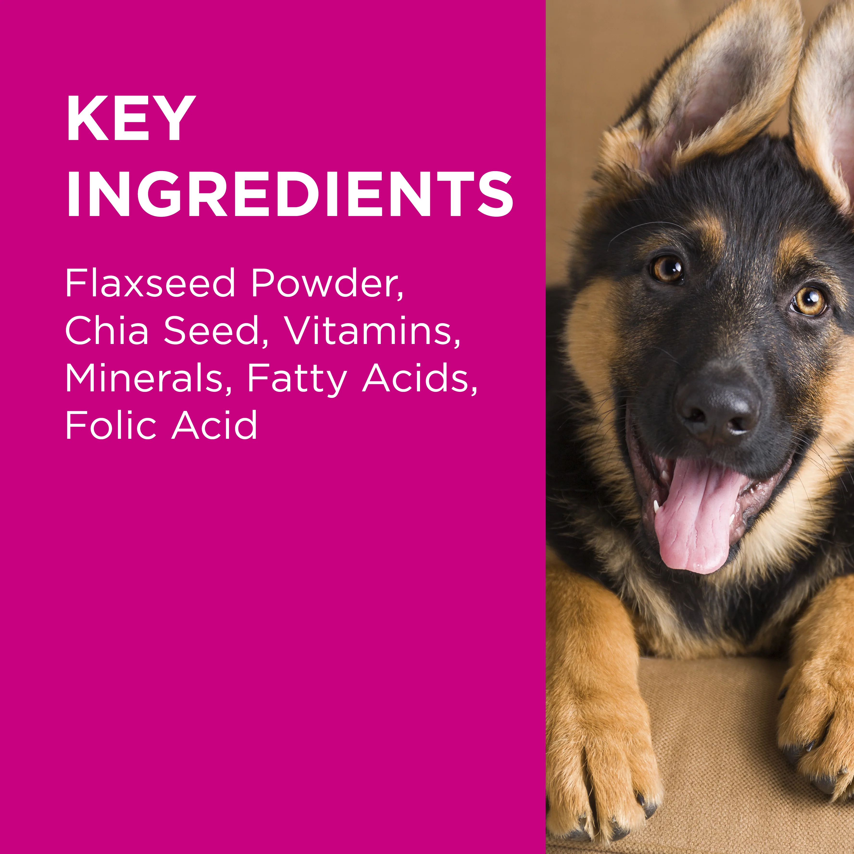 PAW - Coat, Skin and Nails Multivitamins for Dogs (60pk) - Image 6