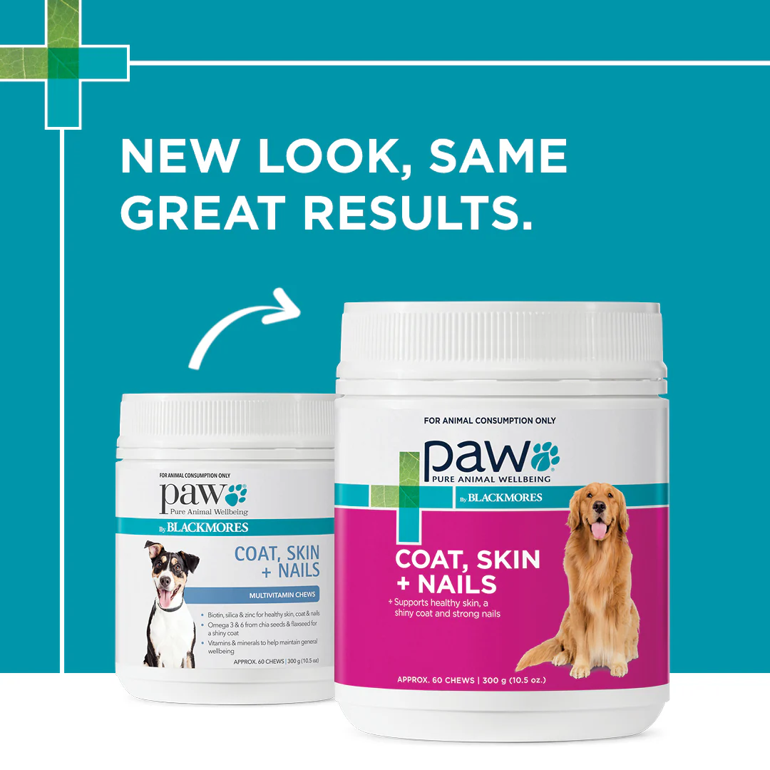 PAW - Coat, Skin and Nails Multivitamins for Dogs (60pk) - Image 8