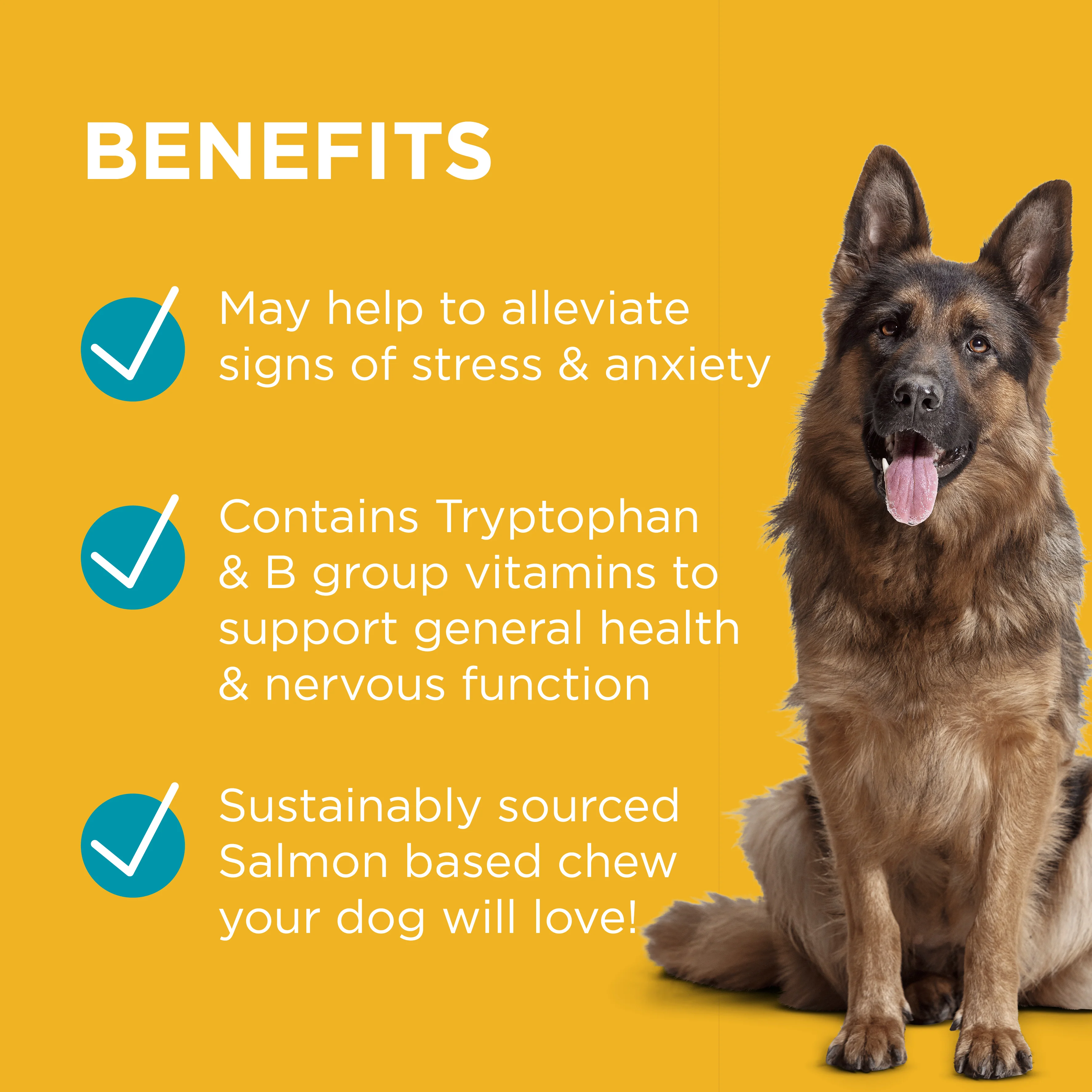 PAW - Complete Calm Multivitamins for Dogs (60pk) - Image 4