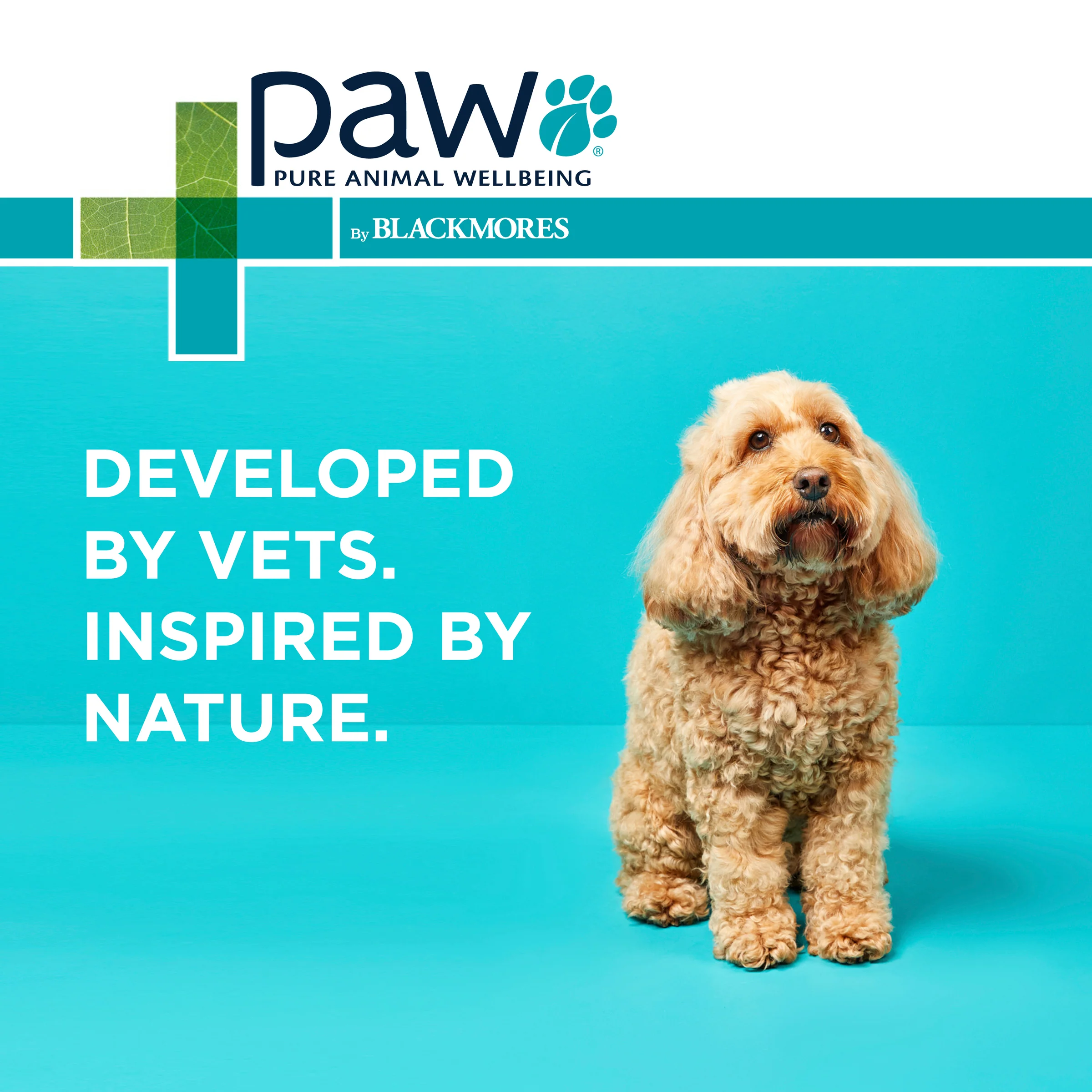 PAW - Gentle Ear Cleaner for Dogs and Cats (120ml) - Image 10