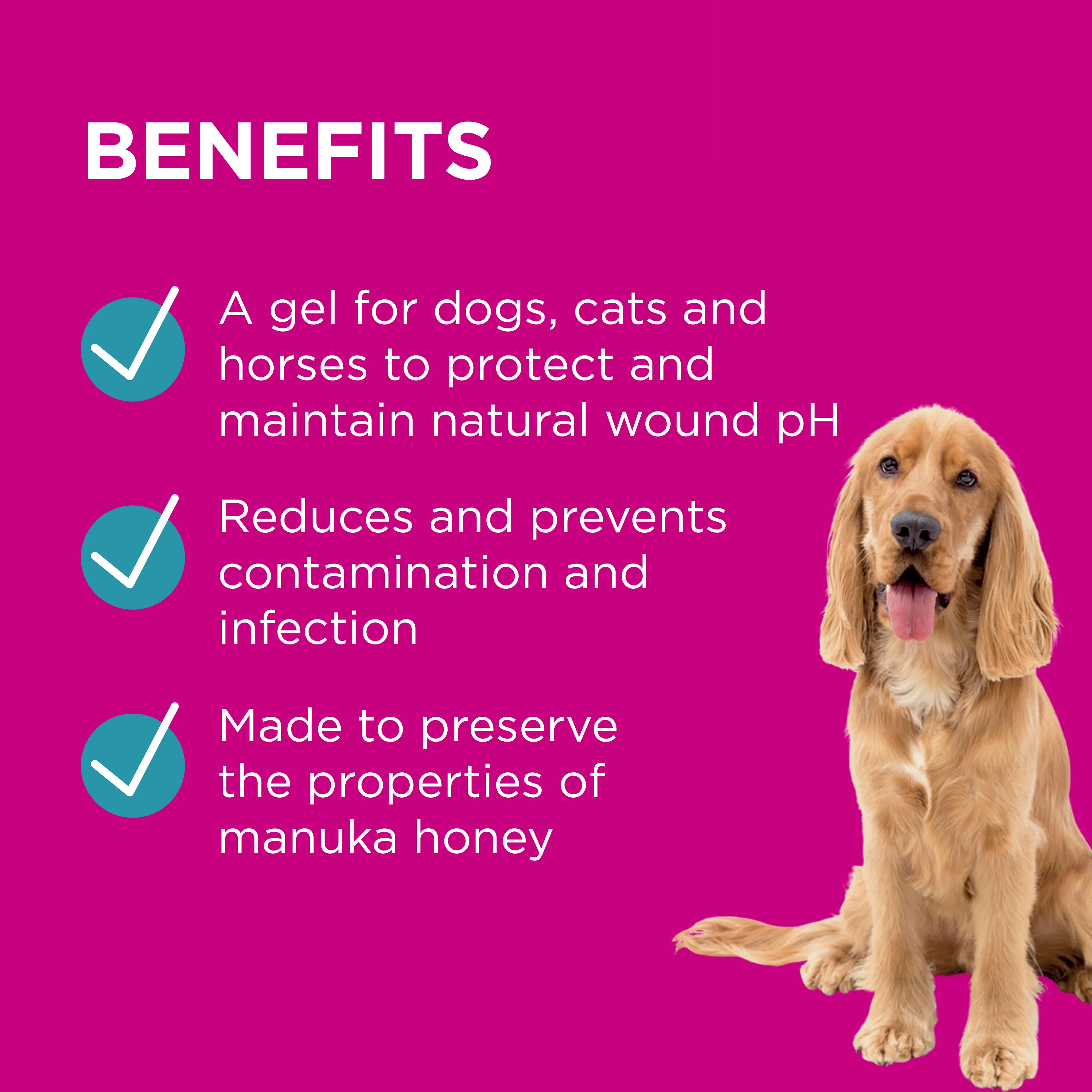 PAW - Manuka Wound Gel for Dogs, Cats and Horses (100g) - Image 3