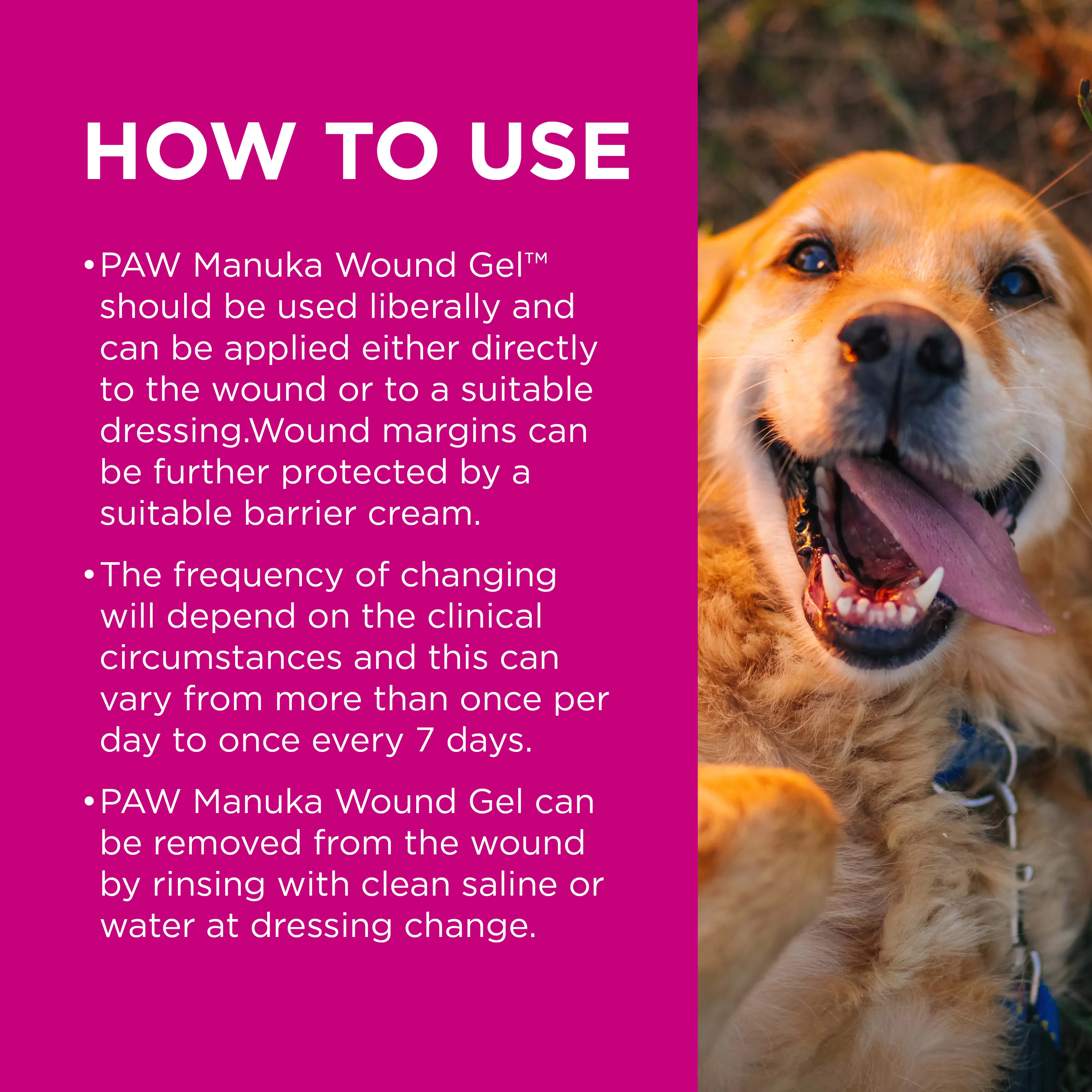 PAW - Manuka Wound Gel for Dogs, Cats and Horses (100g) - Image 6
