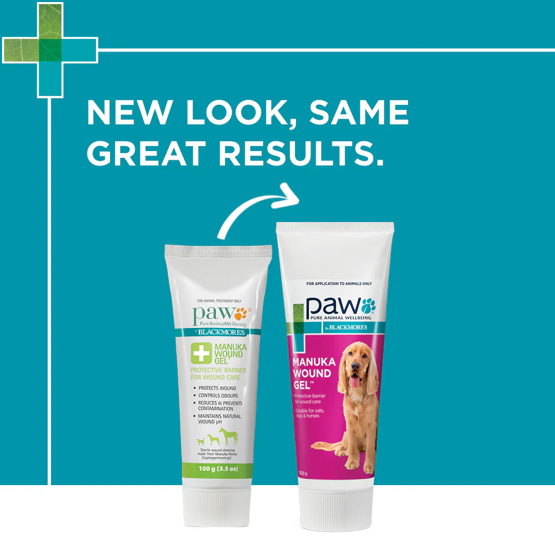 PAW - Manuka Wound Gel for Dogs, Cats and Horses (100g) - Image 8