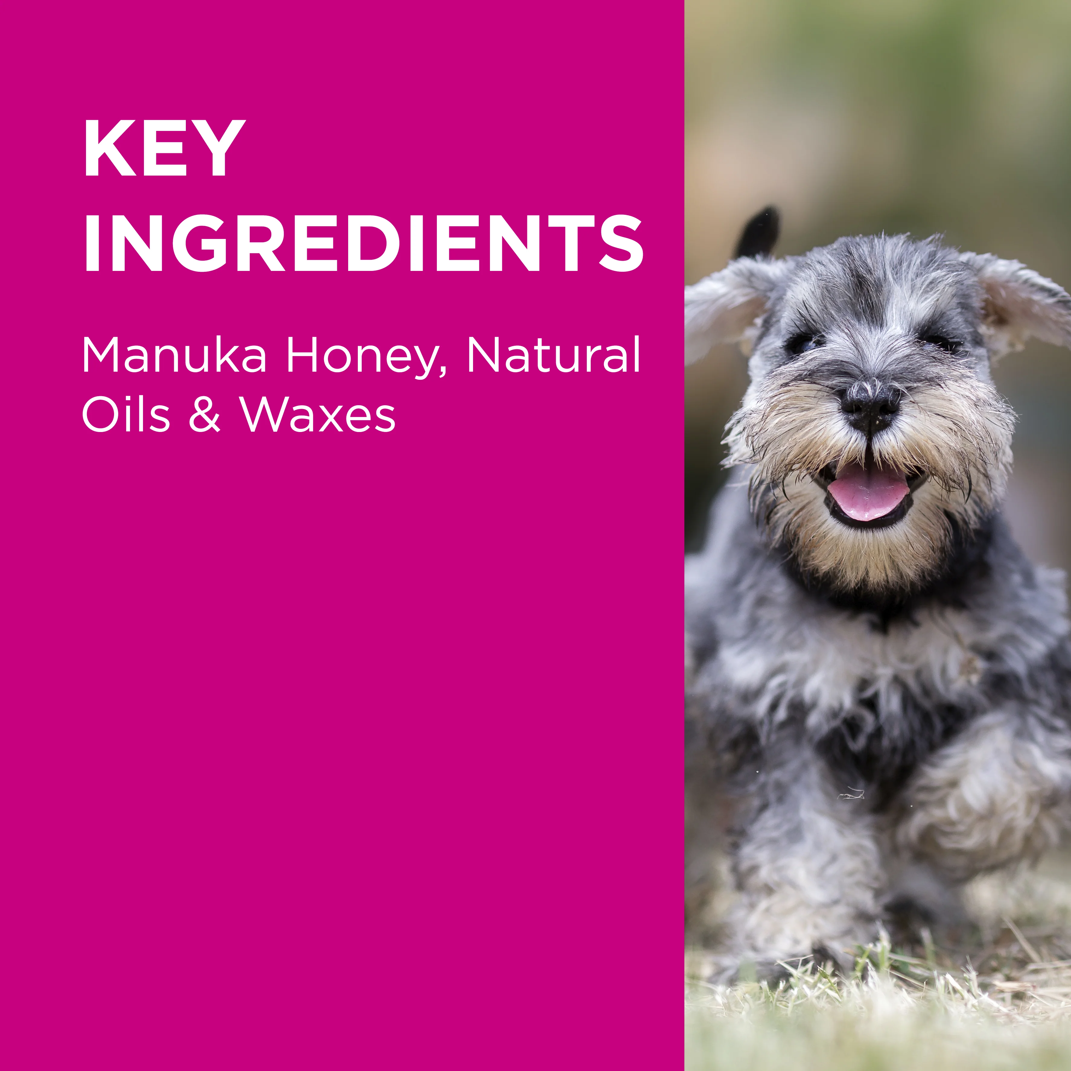 PAW - Manuka Wound Gel for Dogs, Cats and Horses (25g) - Image 5
