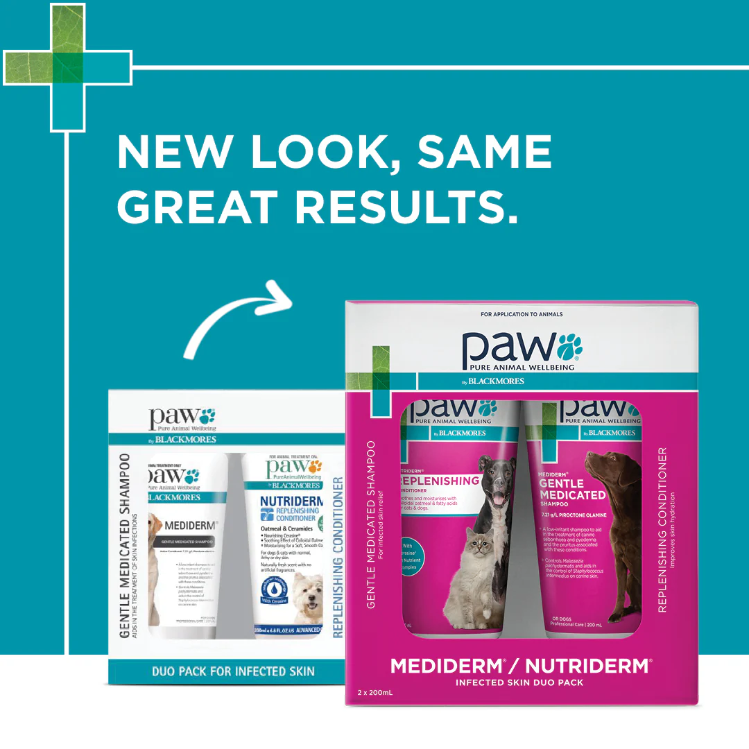 PAW - Medi-NutriDerm Infected Skin Duo Pack for Dogs and Cats (2x200ml) - Image 10