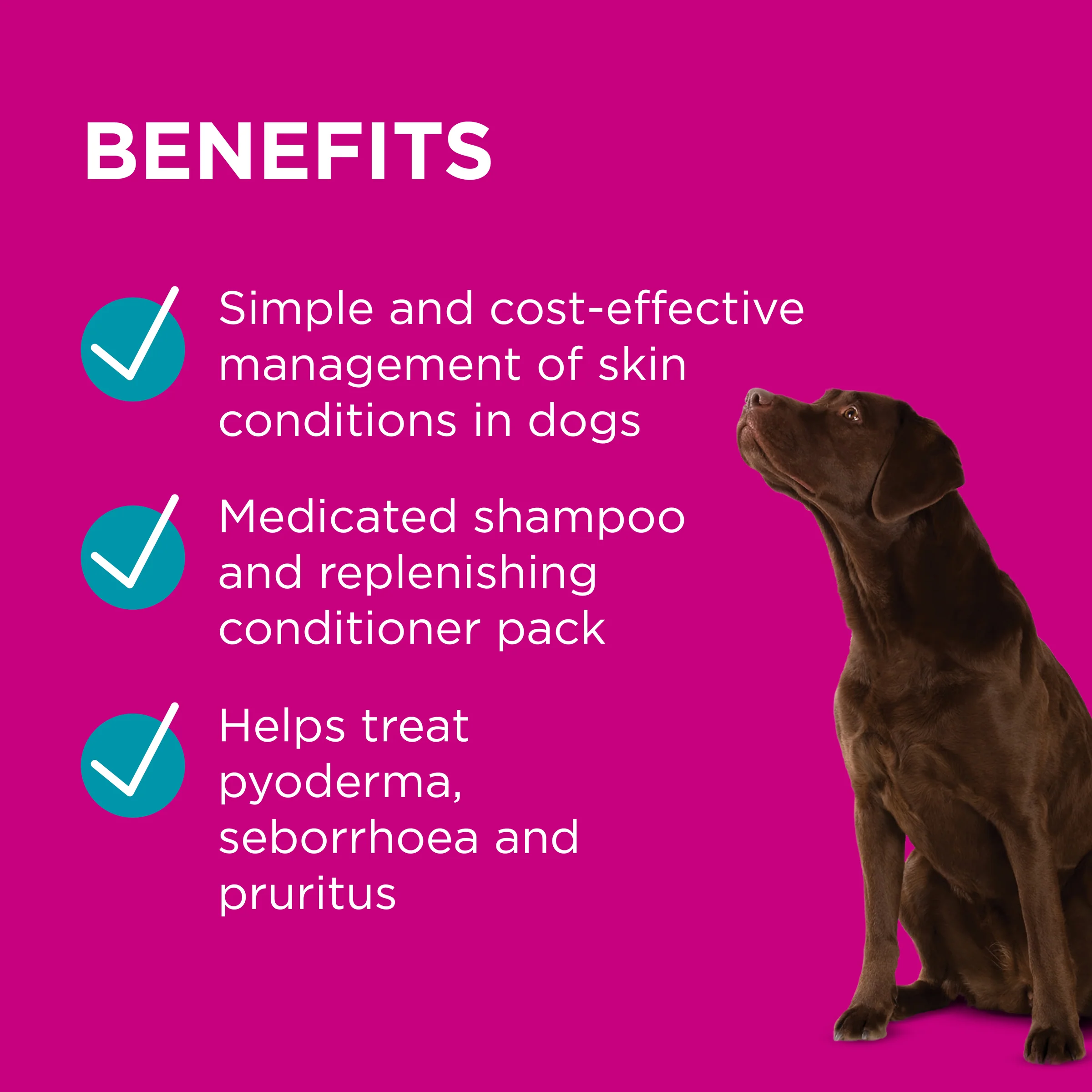 PAW - Medi-NutriDerm Infected Skin Duo Pack for Dogs and Cats (2x200ml) - Image 5