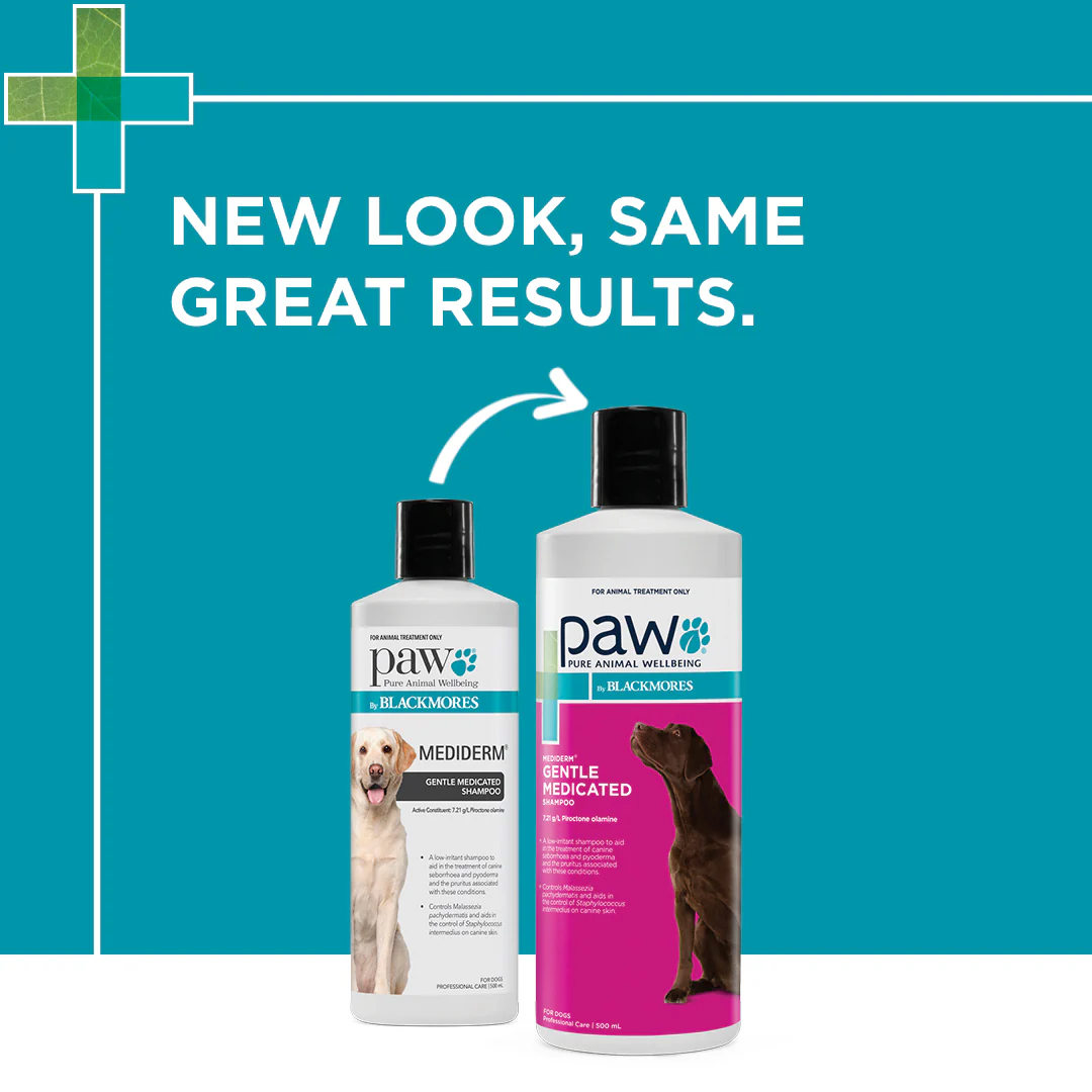 PAW - MediDerm Gentle Medicated Shampoo for Dogs (500ml) - Image 8