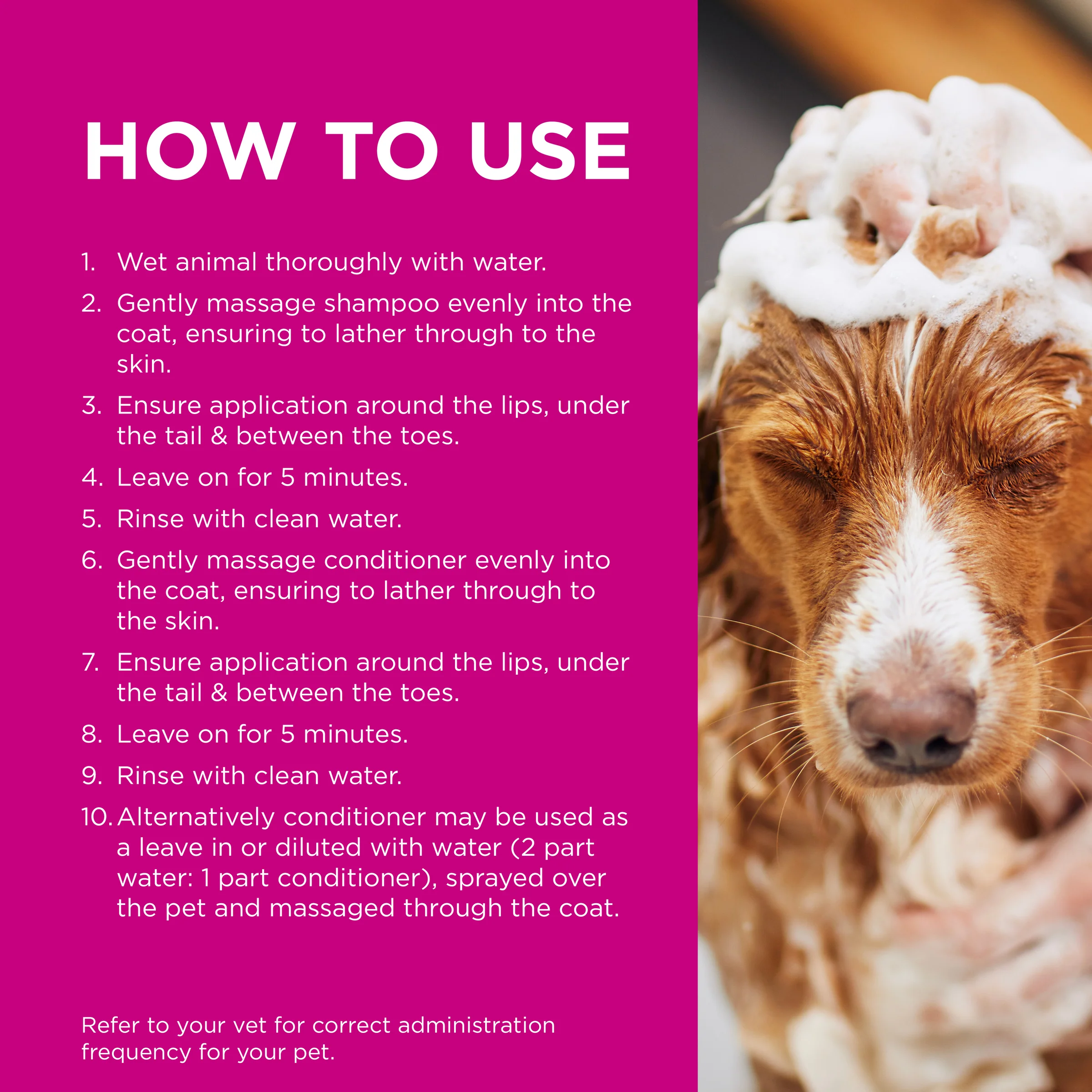 PAW - NutriDerm Itchy Skin Duo Pack for Dogs and Cats (2x200ml) - Image 7