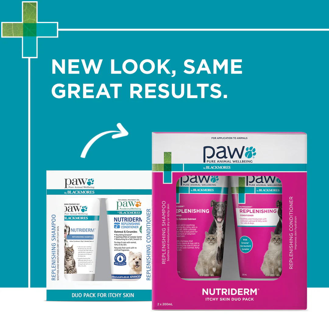 PAW - NutriDerm Itchy Skin Duo Pack for Dogs and Cats (2x200ml) - Image 9