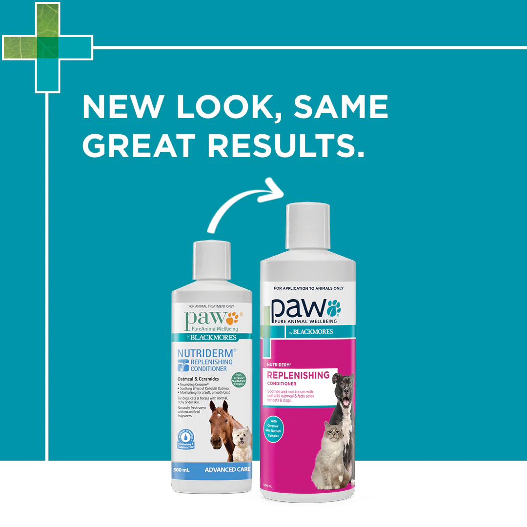 PAW - NutriDerm Replenishing Conditioner for Dogs and Cats (500ml) - Image 7