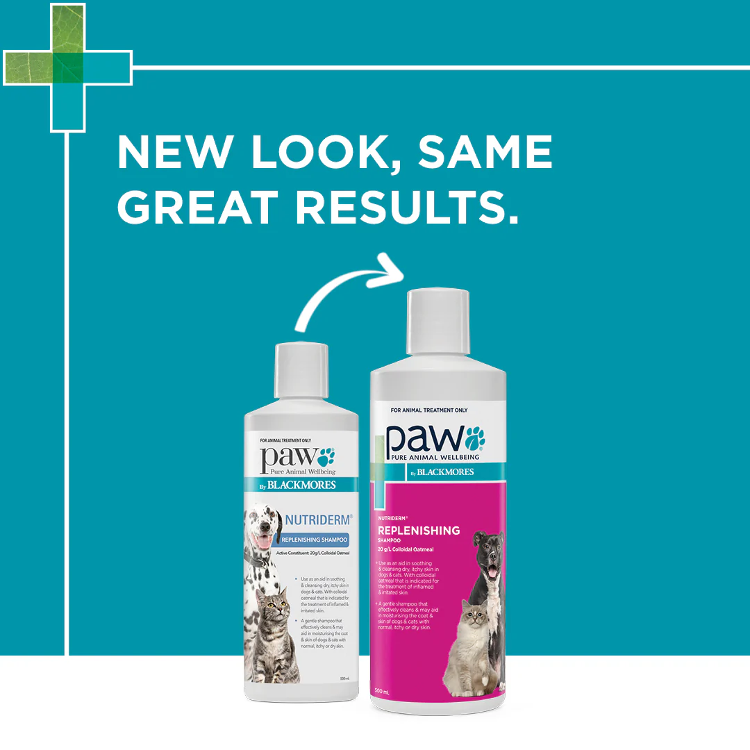 PAW - NutriDerm Replenishing Shampoo for Dogs and Cats (500ml) - Image 8