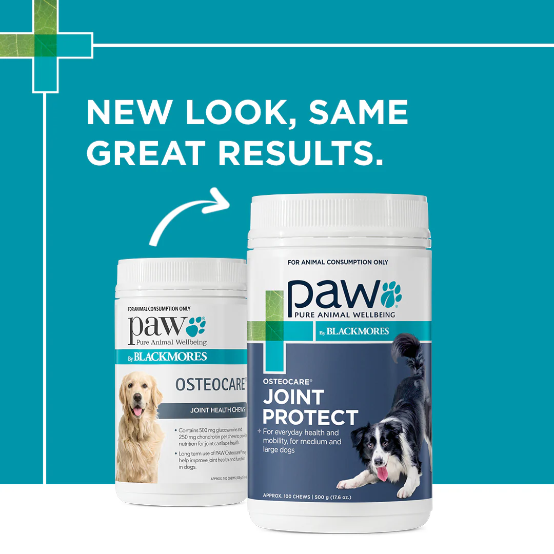 PAW - Osteocare Joint Protect for Dogs (100pk) - Image 9