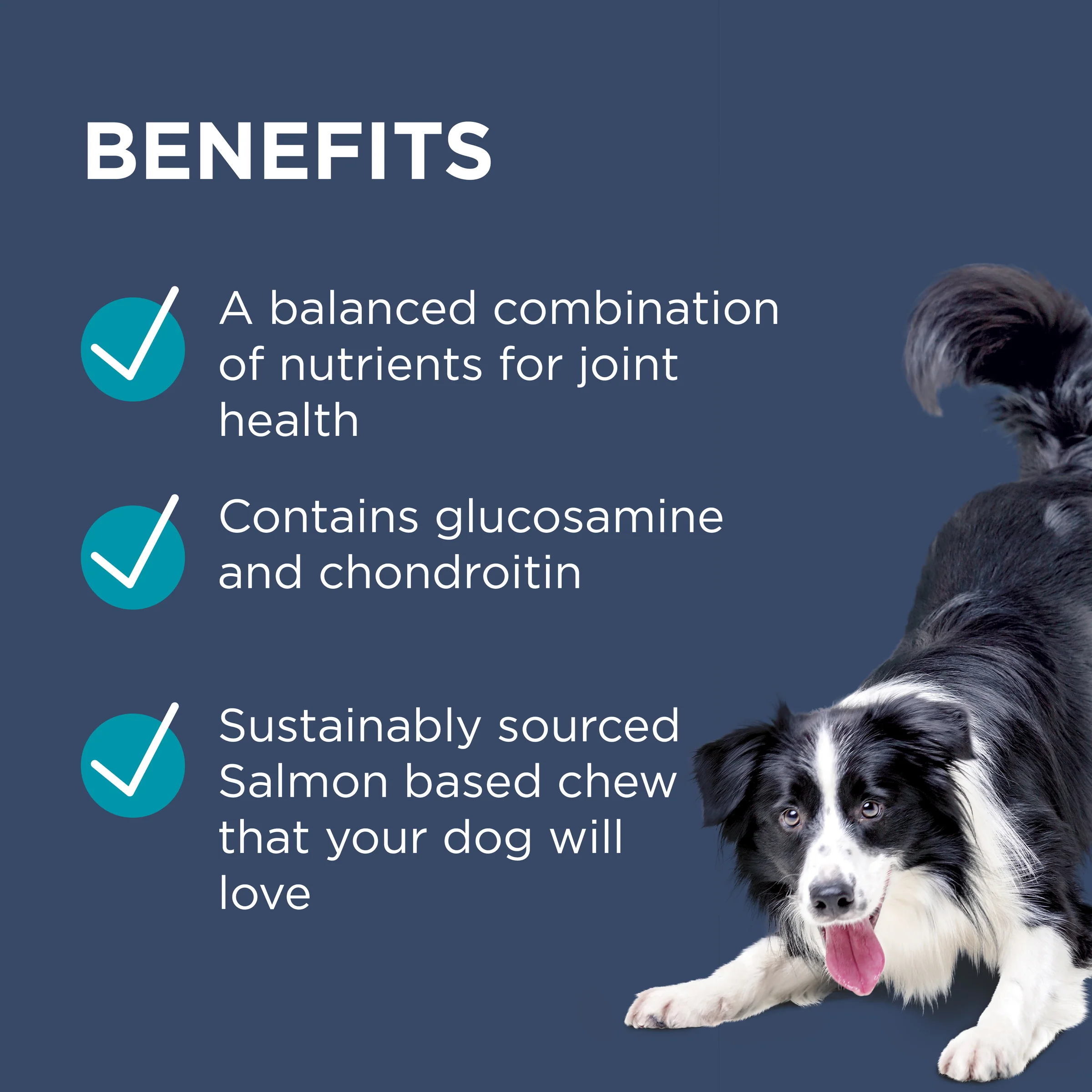 PAW - Osteocare Joint Protect for Dogs (60pk) - Image 4