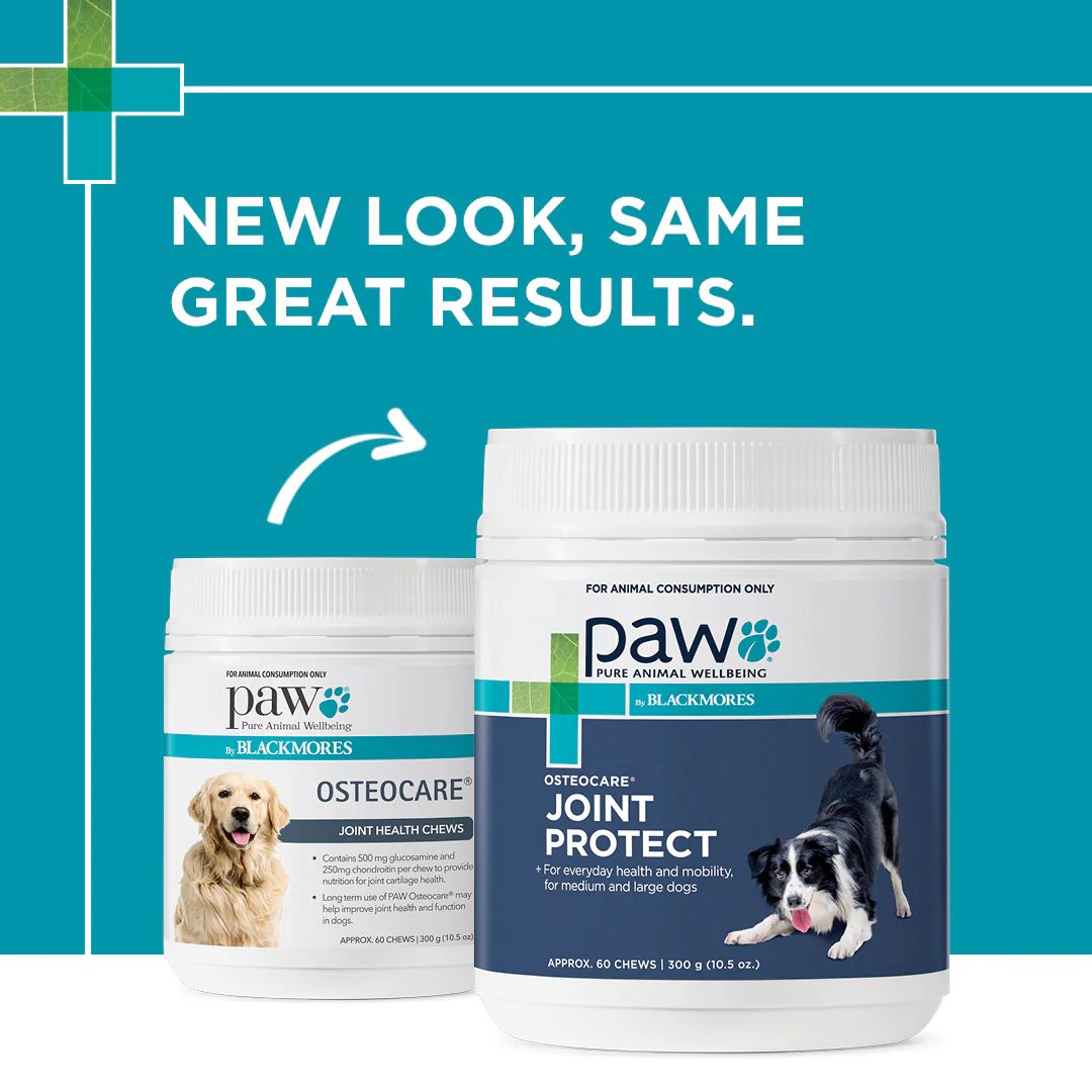 PAW - Osteocare Joint Protect for Dogs (60pk) - Image 9