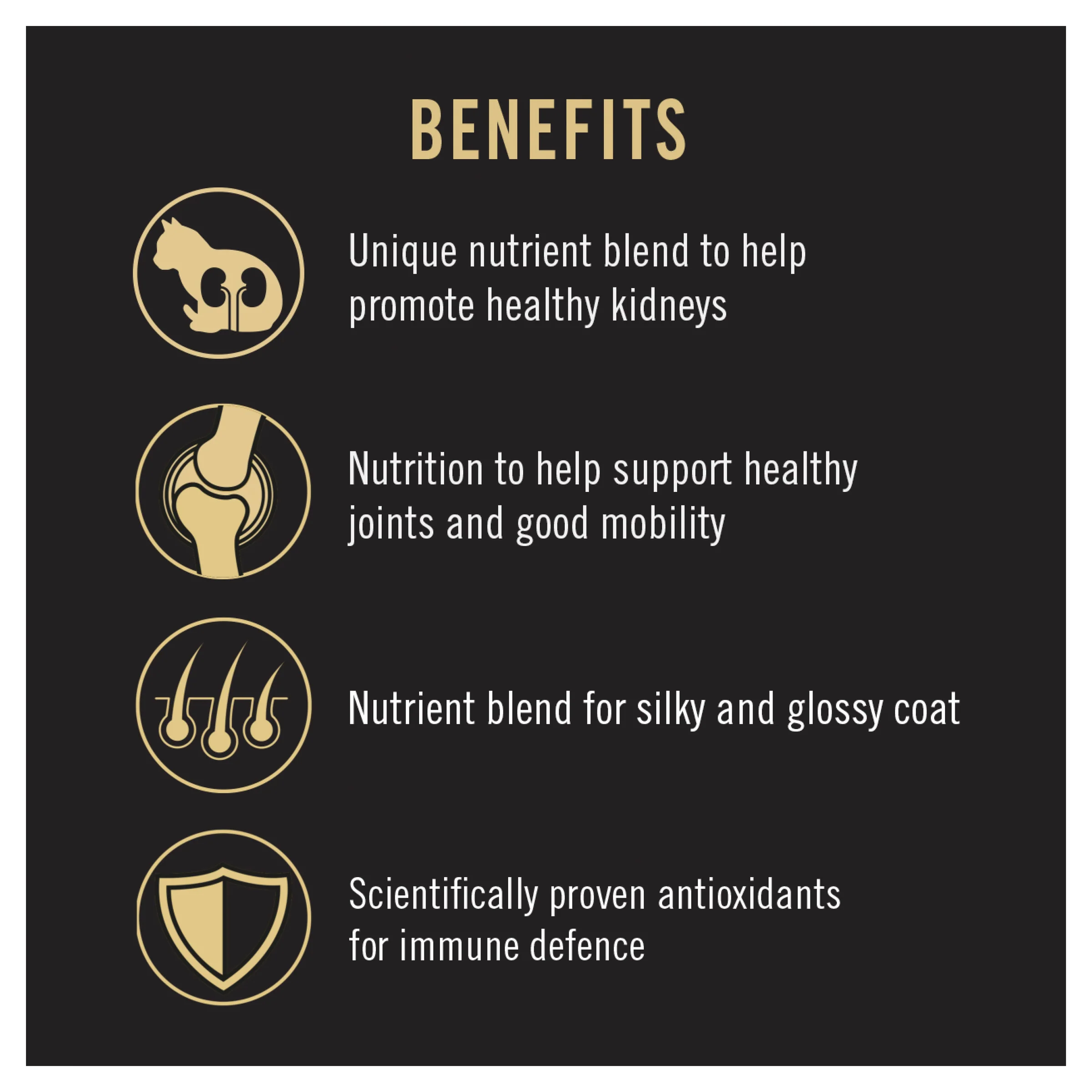 PRO PLAN - Adult Salmon Formula Cat Dry Food - Image 3