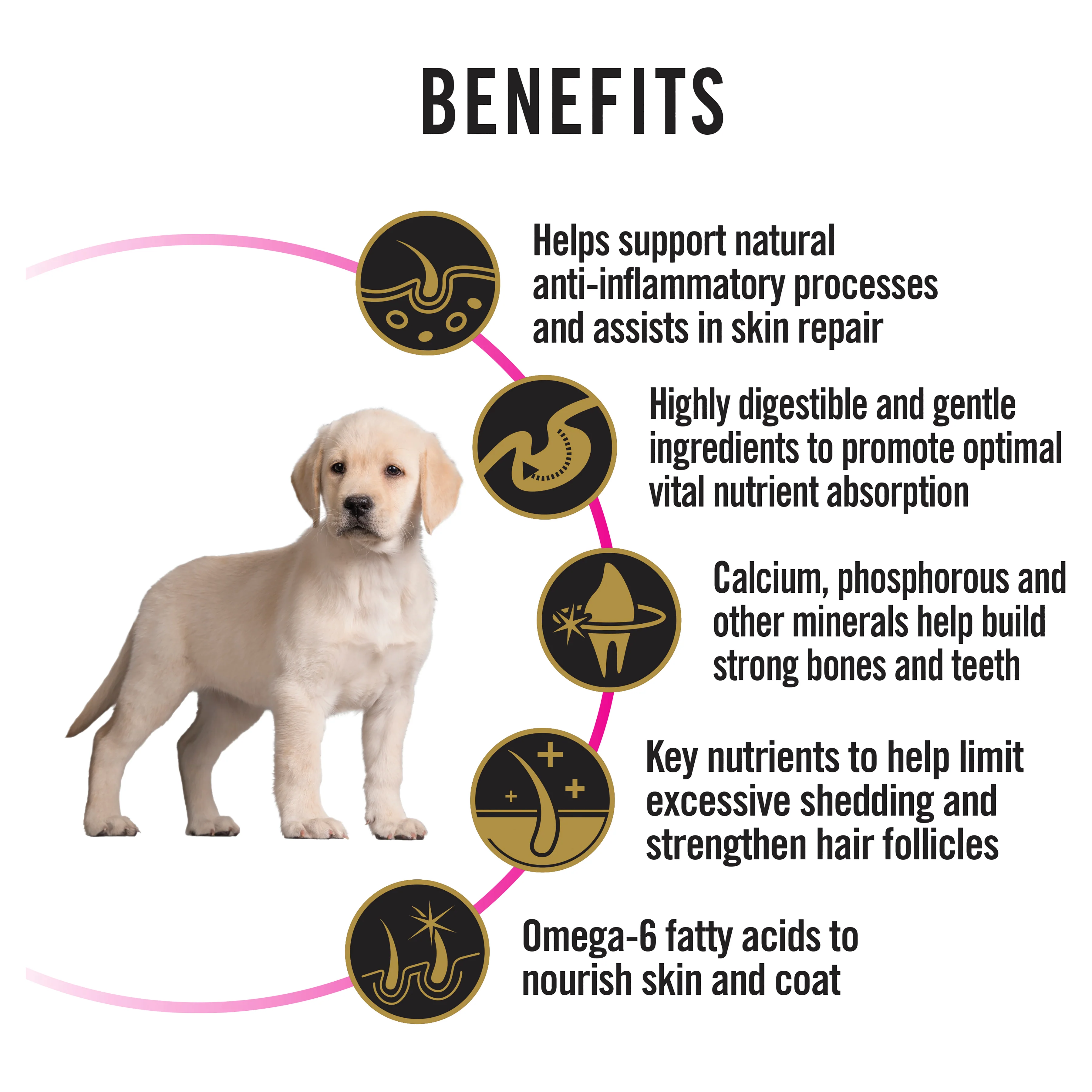 PRO PLAN Puppy Sensitive Skin & Stomach Dry Dog Food (3kg) - Image 8