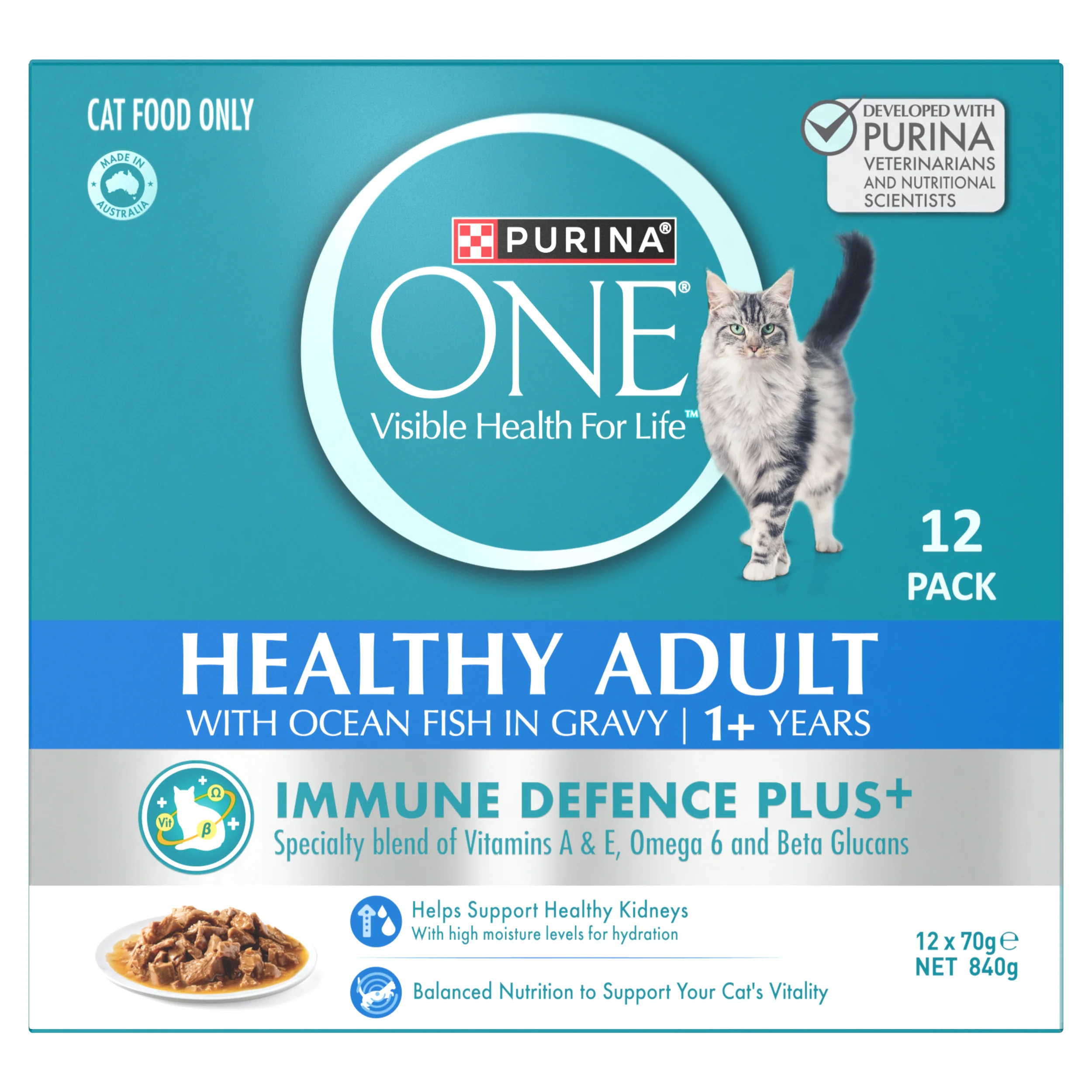 PURINA ONE Ocean Fish Multipack (12x70g)