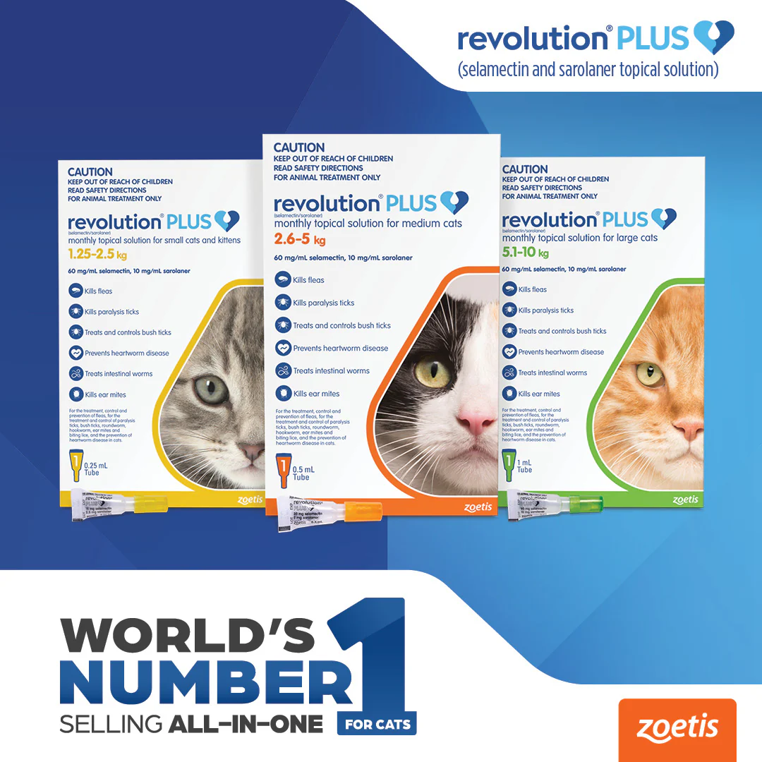 Revolution Plus - Kitten (3pk) - Image 2
