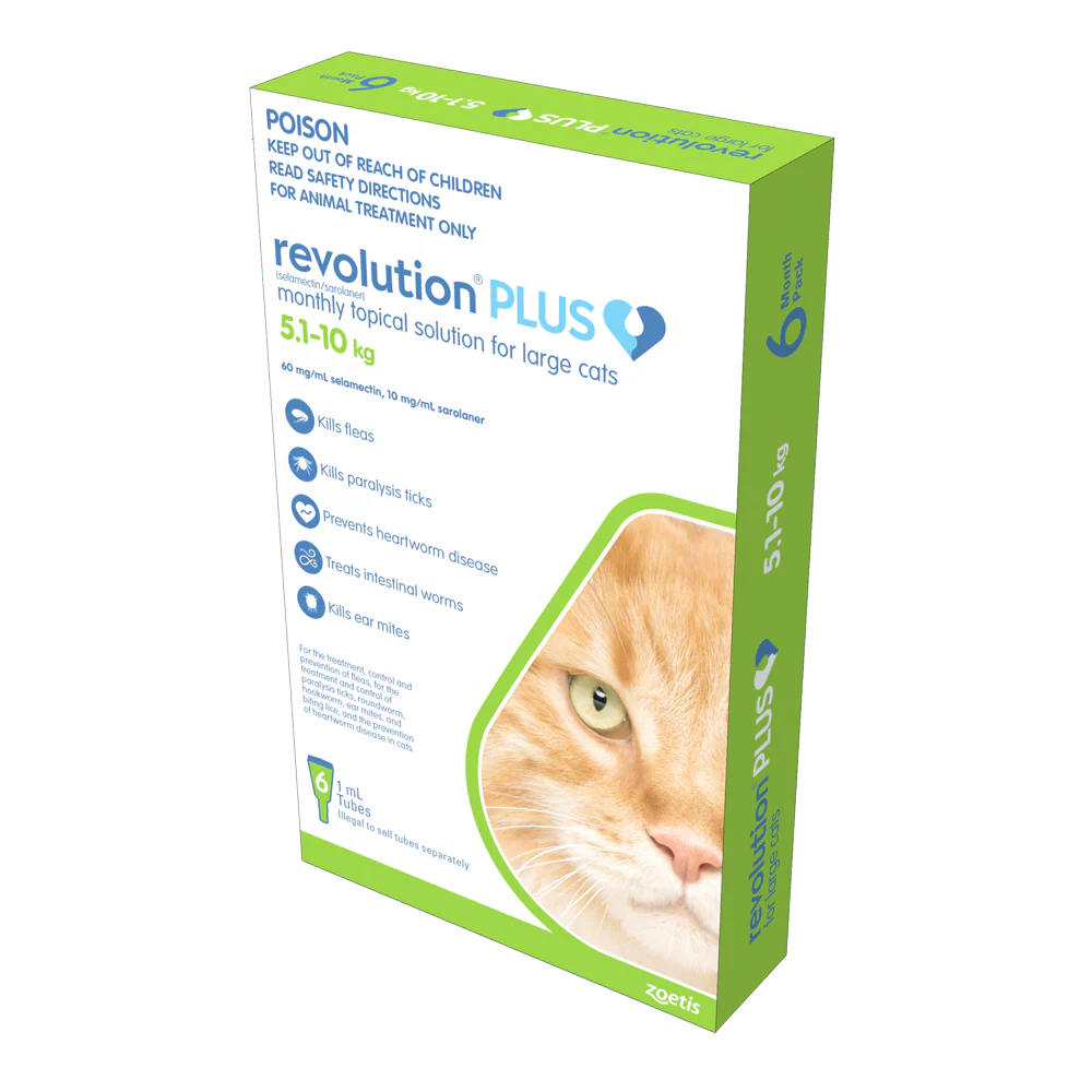 Revolution Plus - Large Cat (6pk)
