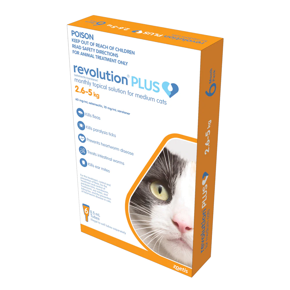 Revolution Plus - Medium Cat (6pk)