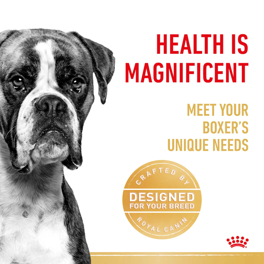 Royal Canin - Boxer Breed Adult Dog Dry Food (12kg) - Image 4