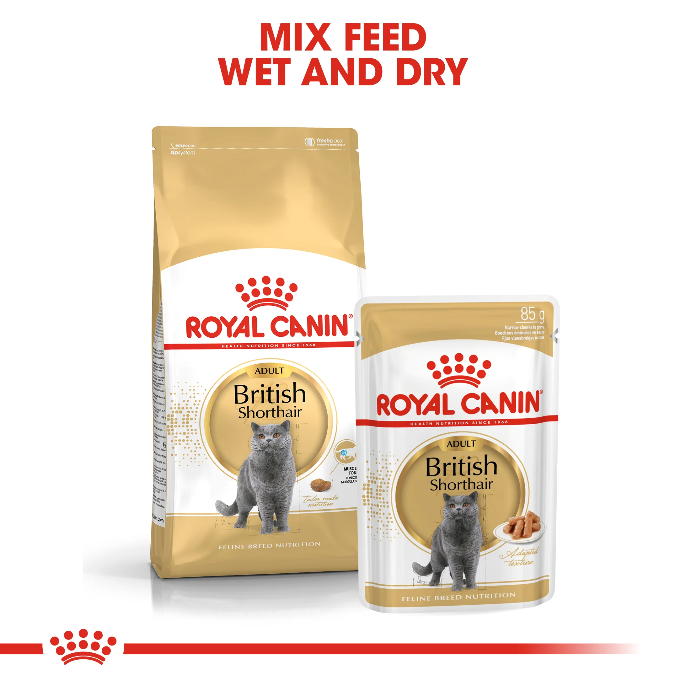 Royal Canin - British Shorthair Breed Adult Cat Dry Food (4kg) - Image 6