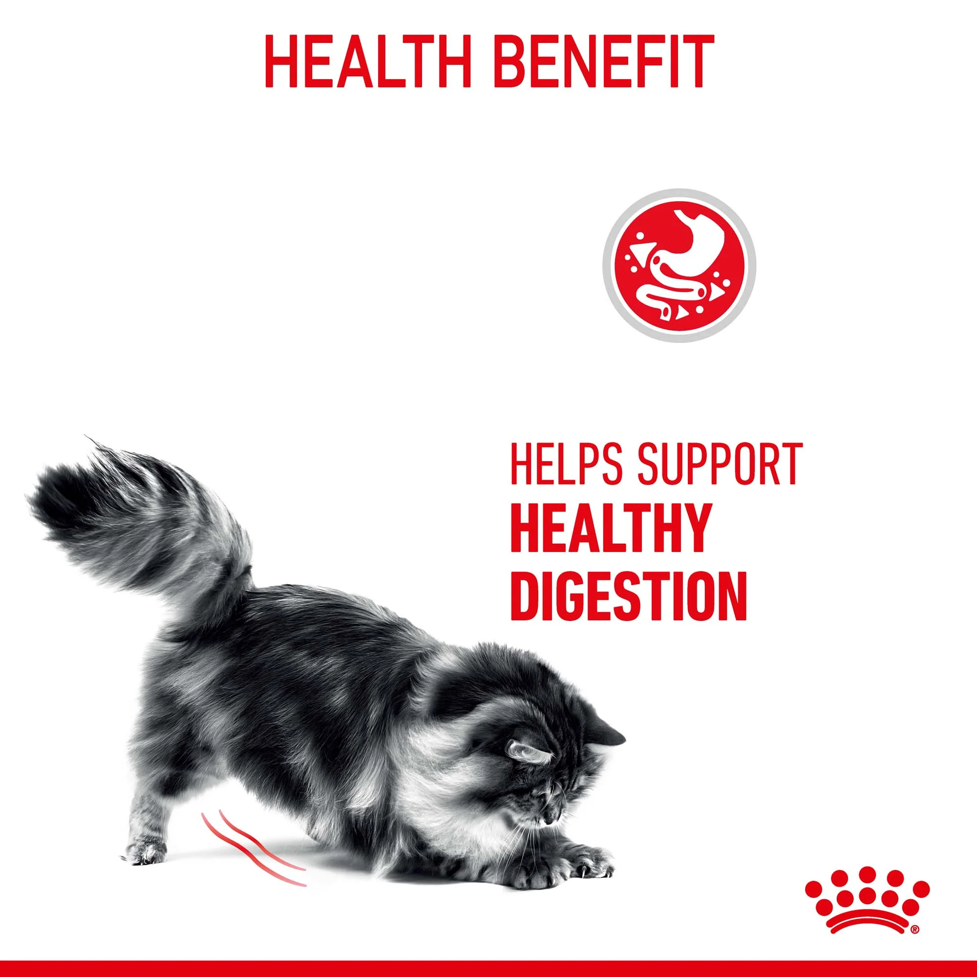 Royal Canin - Digestive Care Adult Cat Dry Food (4kg) - Image 5