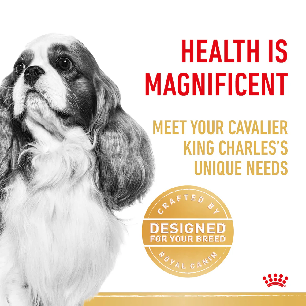Royal Canin - Cavalier King Charles Breed Adult Dog Dry Food (3kg) - Image 4