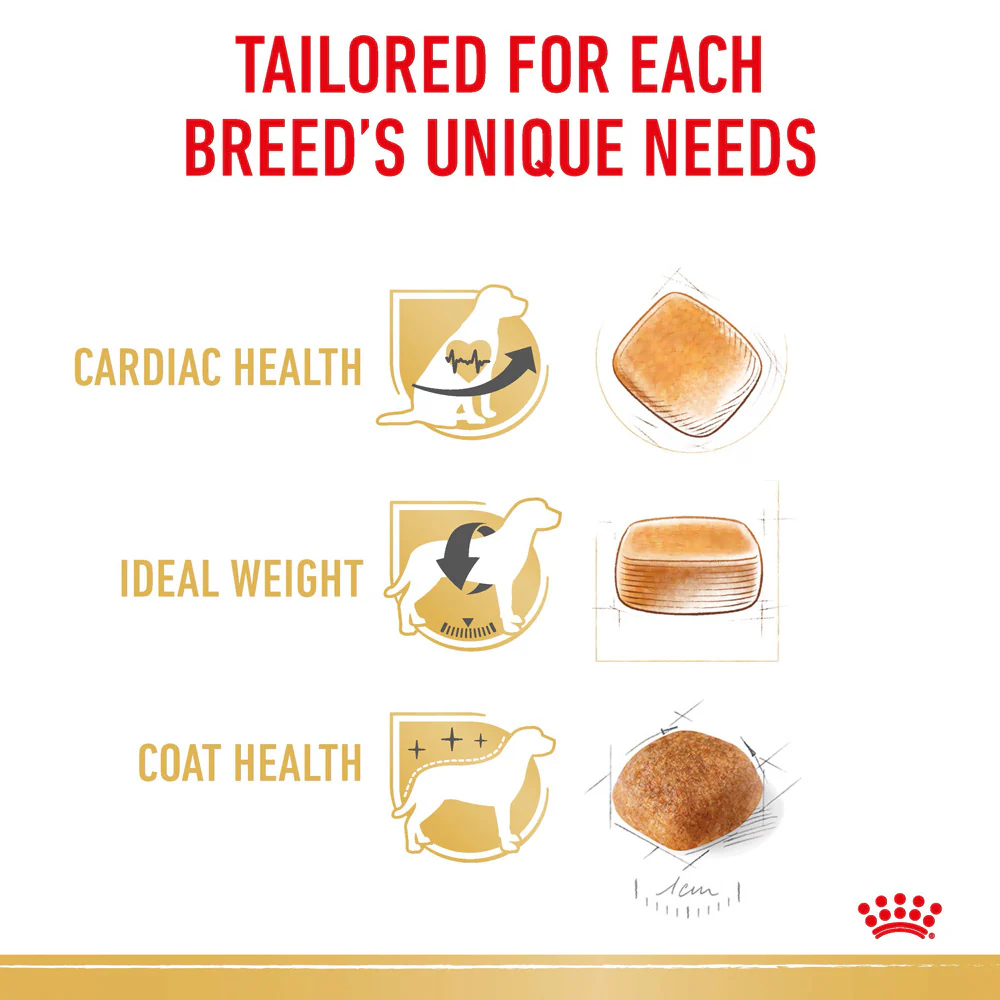 Royal Canin - Cavalier King Charles Breed Adult Dog Dry Food (3kg) - Image 5