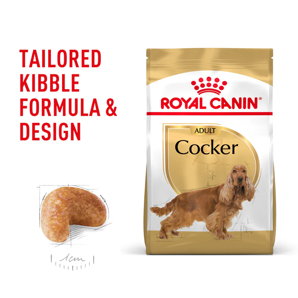 Royal Canin - Cocker Spaniel Breed Adult Dog Dry Food (3kg) - Image 3
