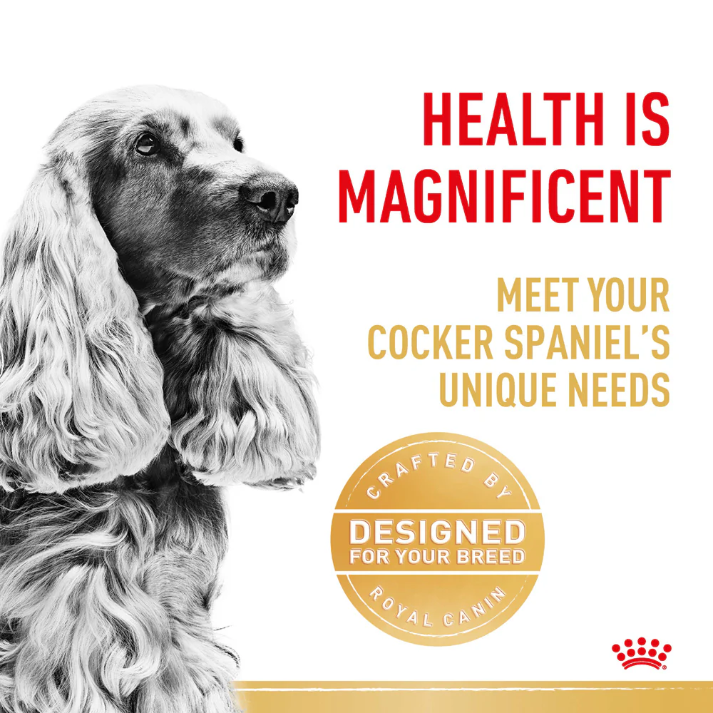 Royal Canin - Cocker Spaniel Breed Adult Dog Dry Food (3kg) - Image 4