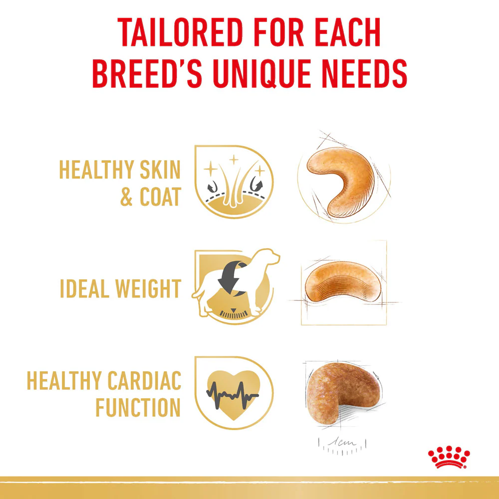 Royal Canin - Cocker Spaniel Breed Adult Dog Dry Food (3kg) - Image 5