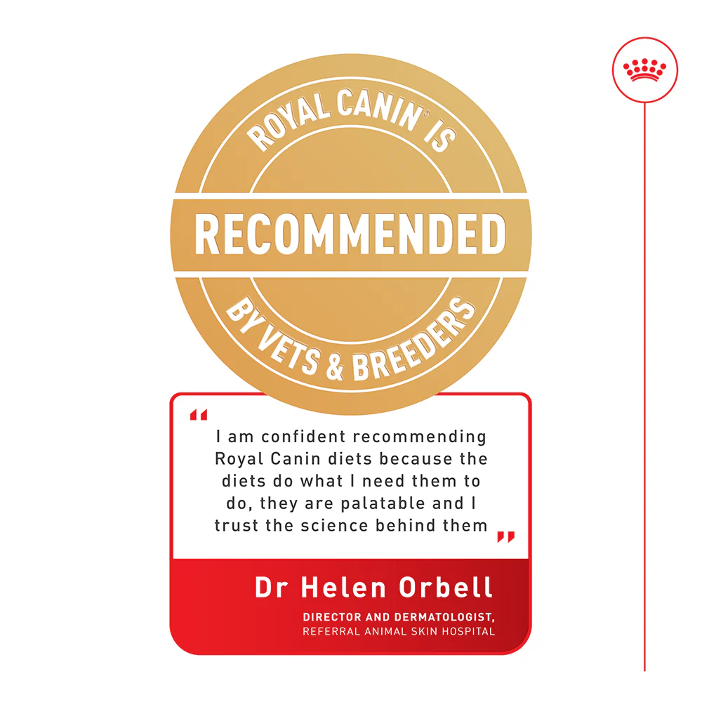 Royal Canin - Digestive Care Adult Dog Wet Food (85g x 12pk) - Image 2