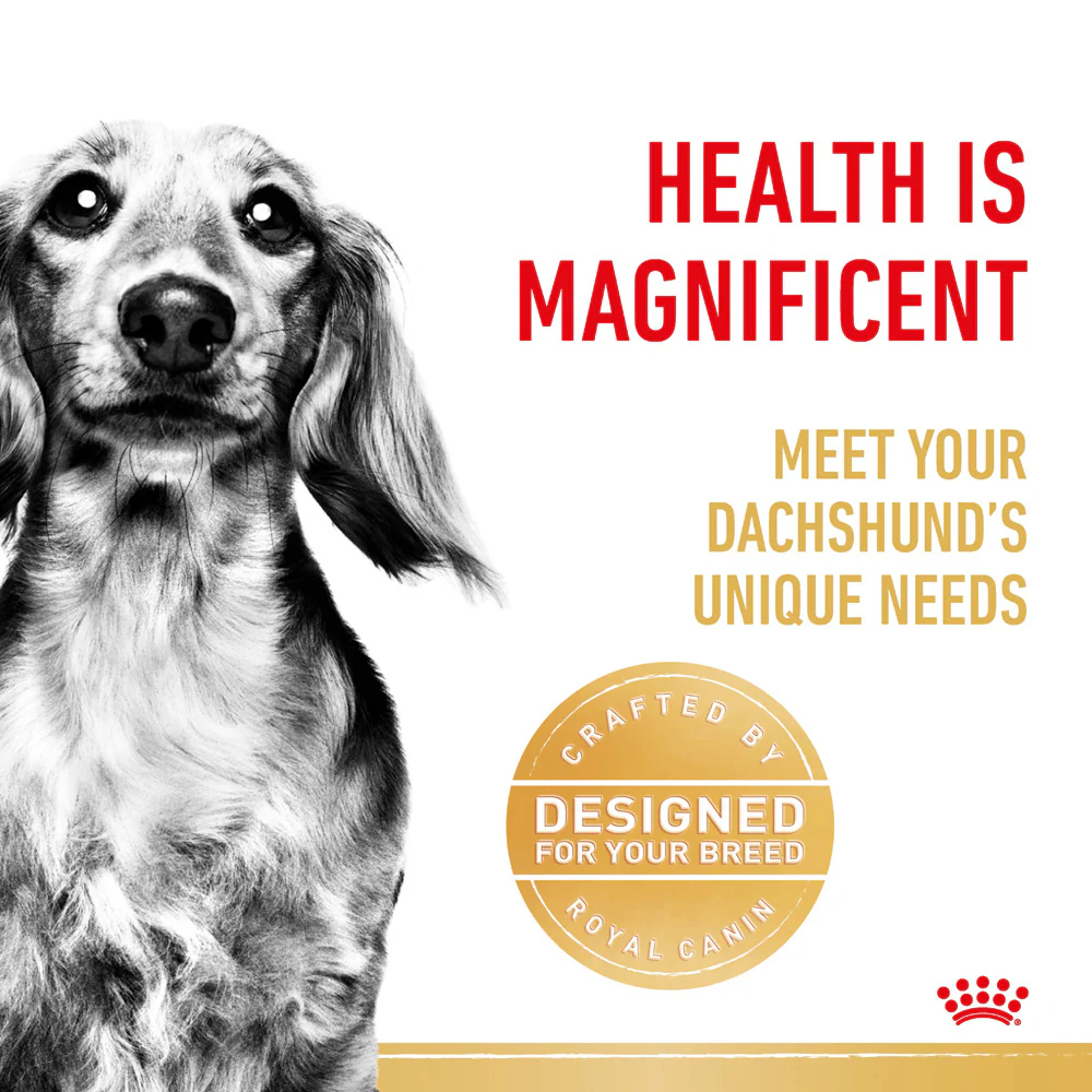 Royal Canin - Dachshund Breed Adult Dog Dry Food (1.5kg) - Image 4