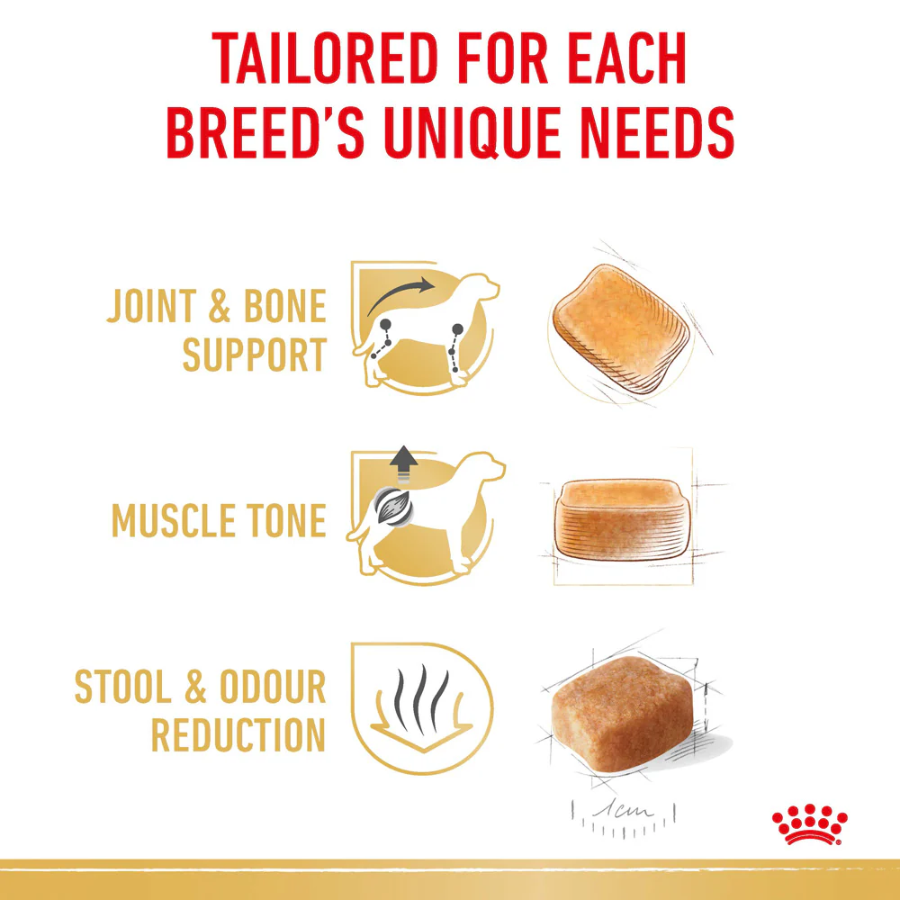 Royal Canin - Dachshund Breed Adult Dog Dry Food (1.5kg) - Image 5