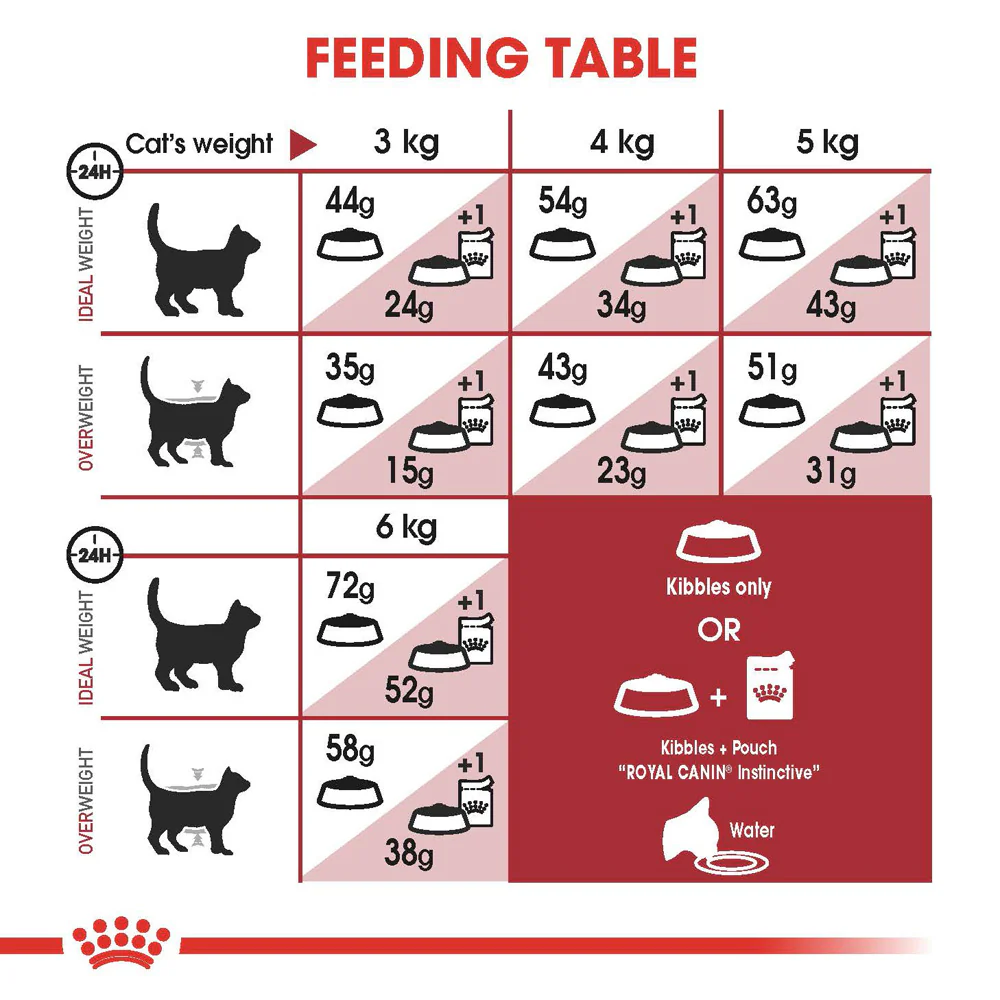 Royal Canin - Fit Adult Cat Dry Food (4kg) - Image 3