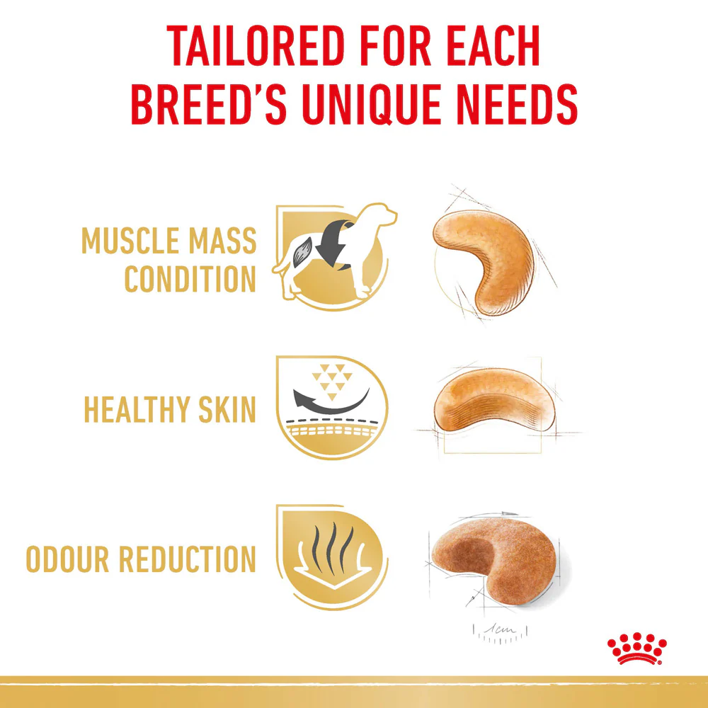 Royal Canin - French Bulldog Breed Adult Dog Dry Food (3kg) - Image 5