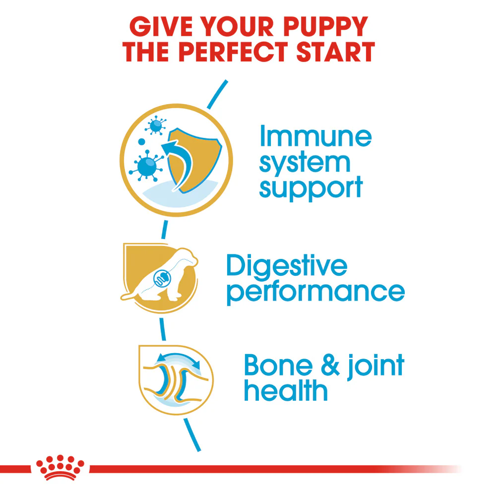 Royal Canin - German Shepherd Breed Puppy Dry Food (12kg) - Image 4