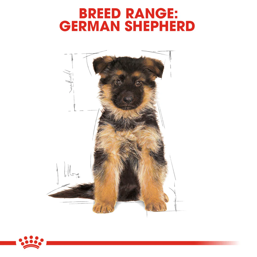 Royal Canin - German Shepherd Breed Puppy Dry Food (12kg) - Image 6